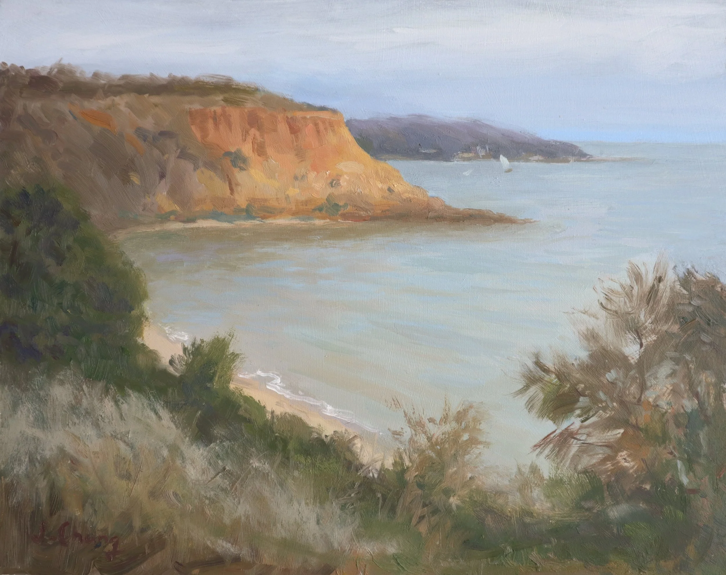 View of Red Bluff.jpg