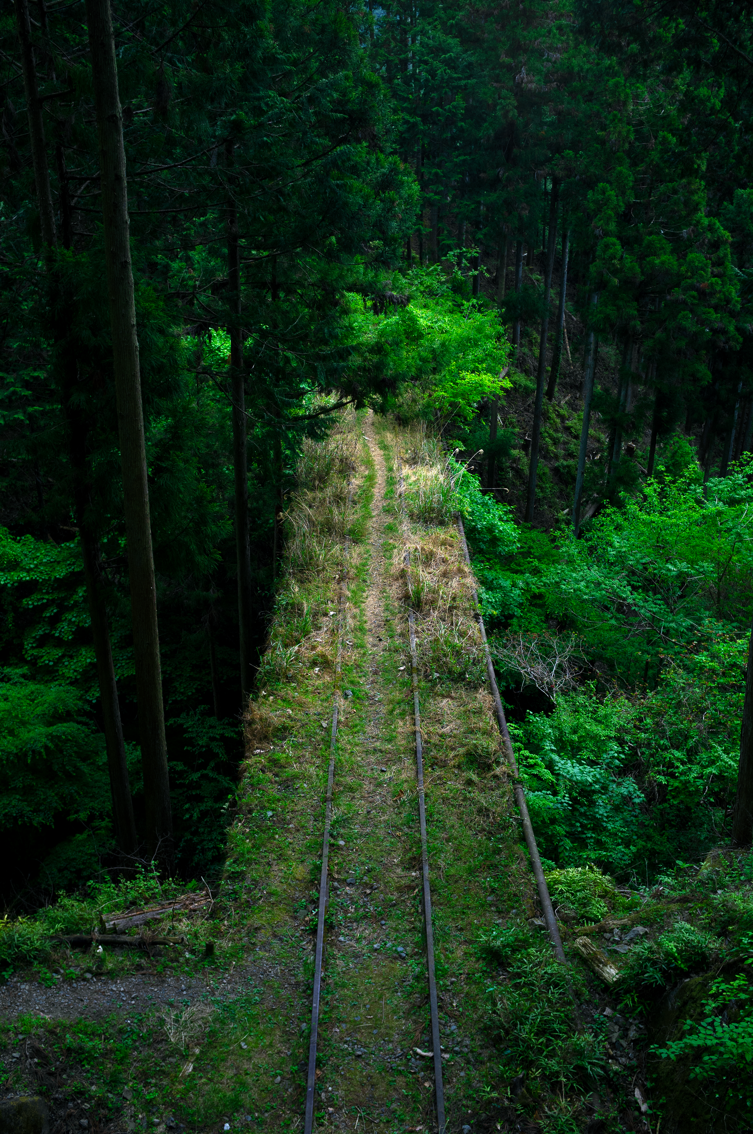Okutama Railway Bridge under 20.png