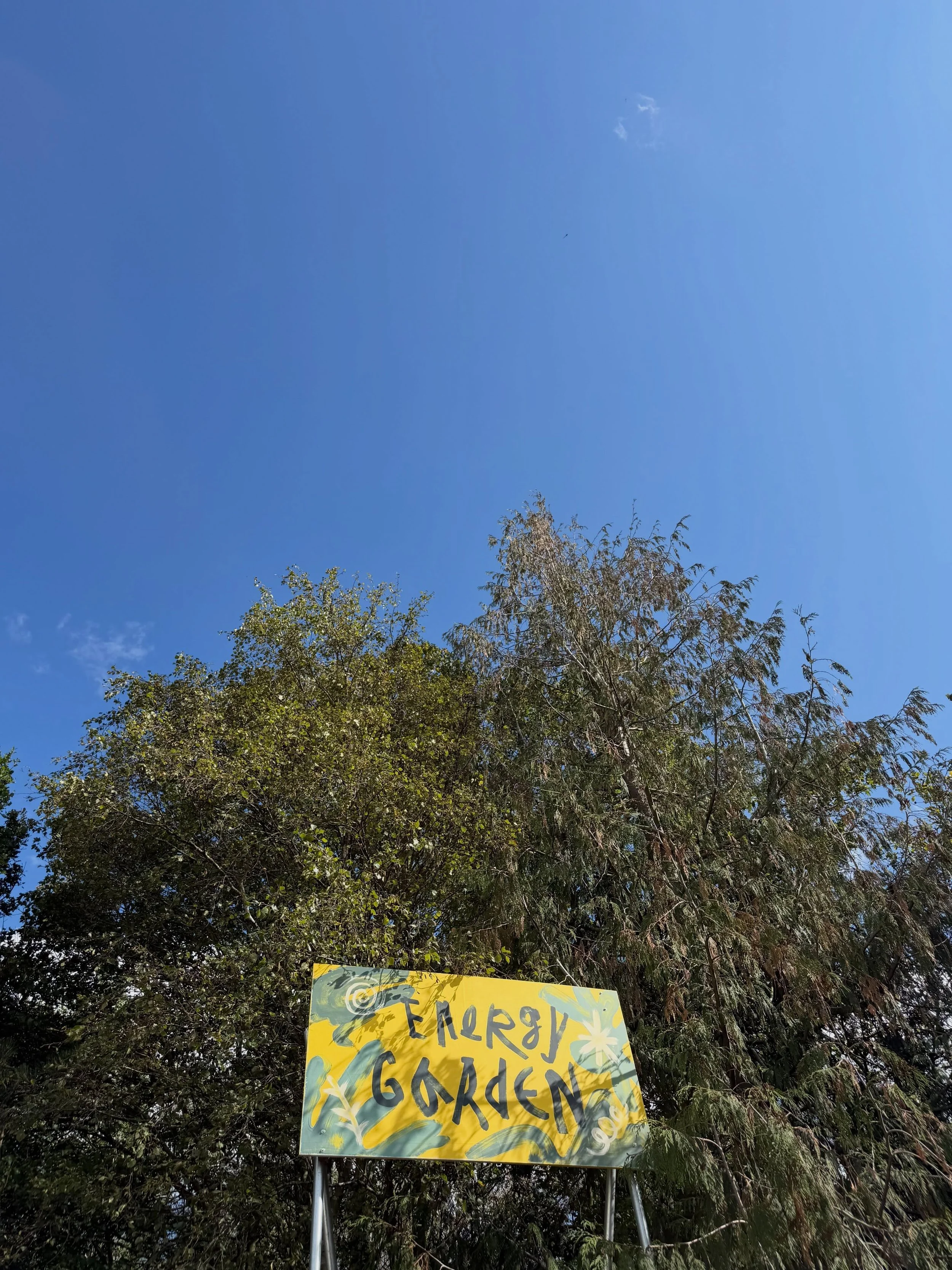 Oh @lostvillagefestival ILYSM. 

I wear a fair few hats in my work&hellip; yoga, sound, studio owner, teacher trainer, mentor, and festival curator&hellip; and I think maybe the curation that gives me the most feels about increasing access to the pra