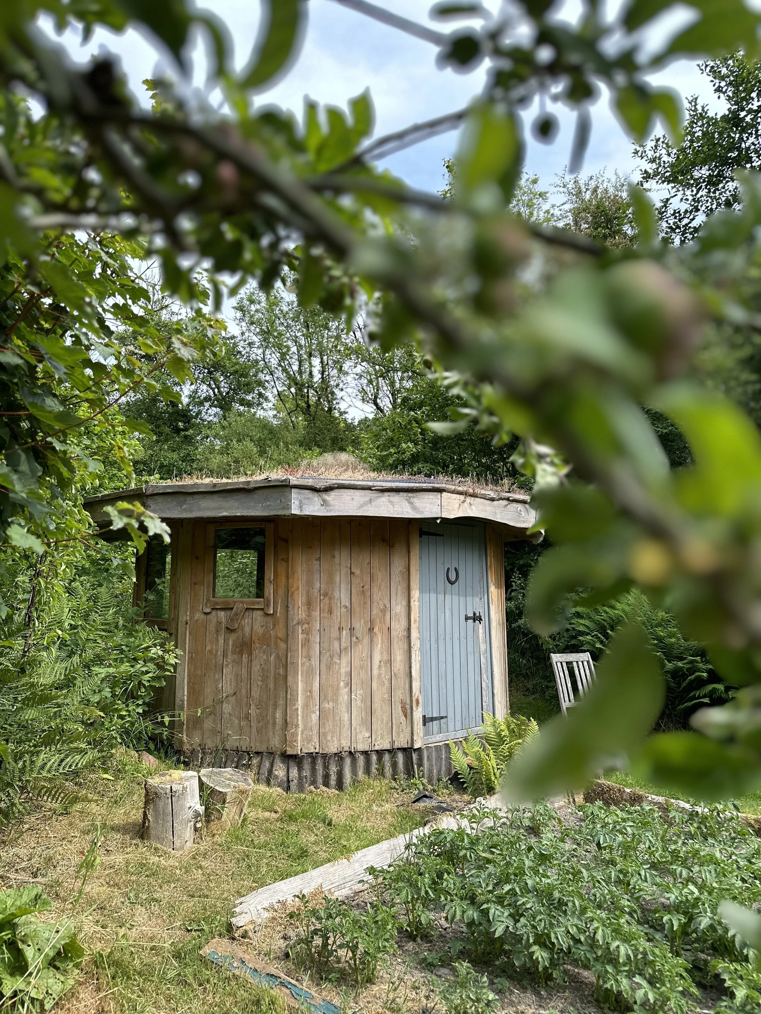 A small round wooden hut with a blue door and a horseshoe decoration, surrounded by a garden with plants and trees.