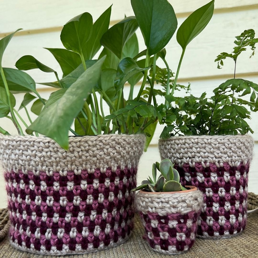 Striped Moss Stitch Crochet Plant Pot covers displaying some beautiful green plants