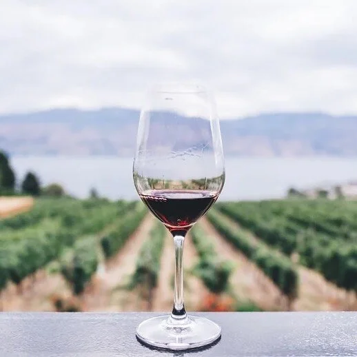 The Leading Wines of the World is an unrivaled global community for wine enthusiasts, makers and those who enjoy wine culture. Follow the journey. 🍷👌🏼

#wine #winelover #vineyard #winemaker #instawine #redwine #whitewine #traveler #winetasting #tr