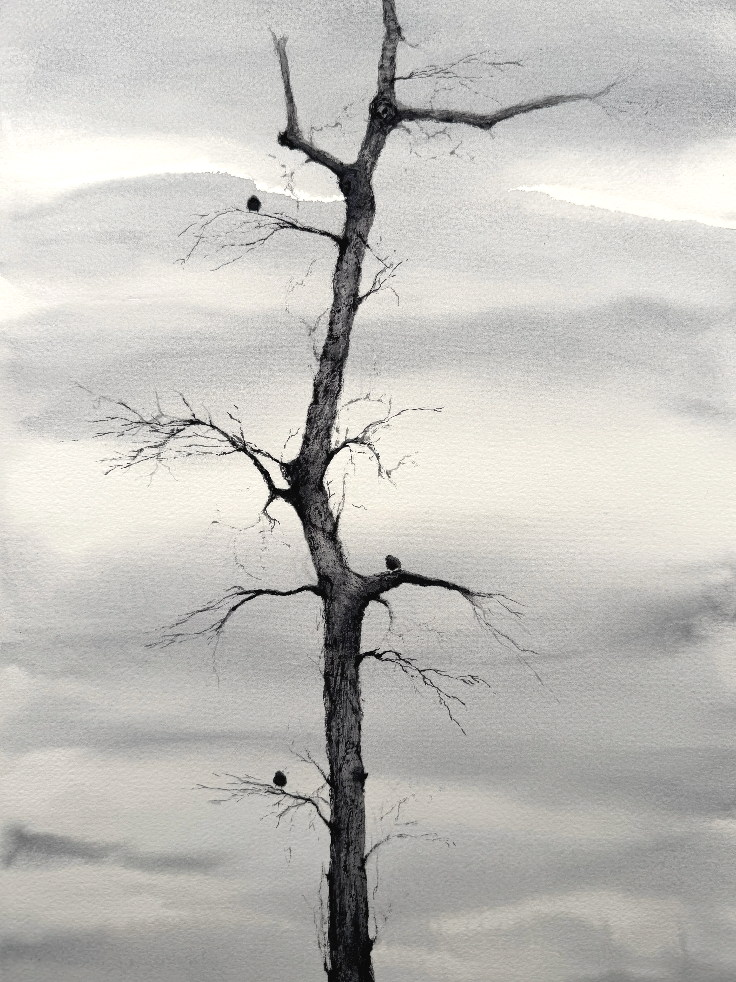 A black and white illustration of a tall, leafless tree with several small round objects, possibly birds or berries, on its branches, set against a striped sky background.