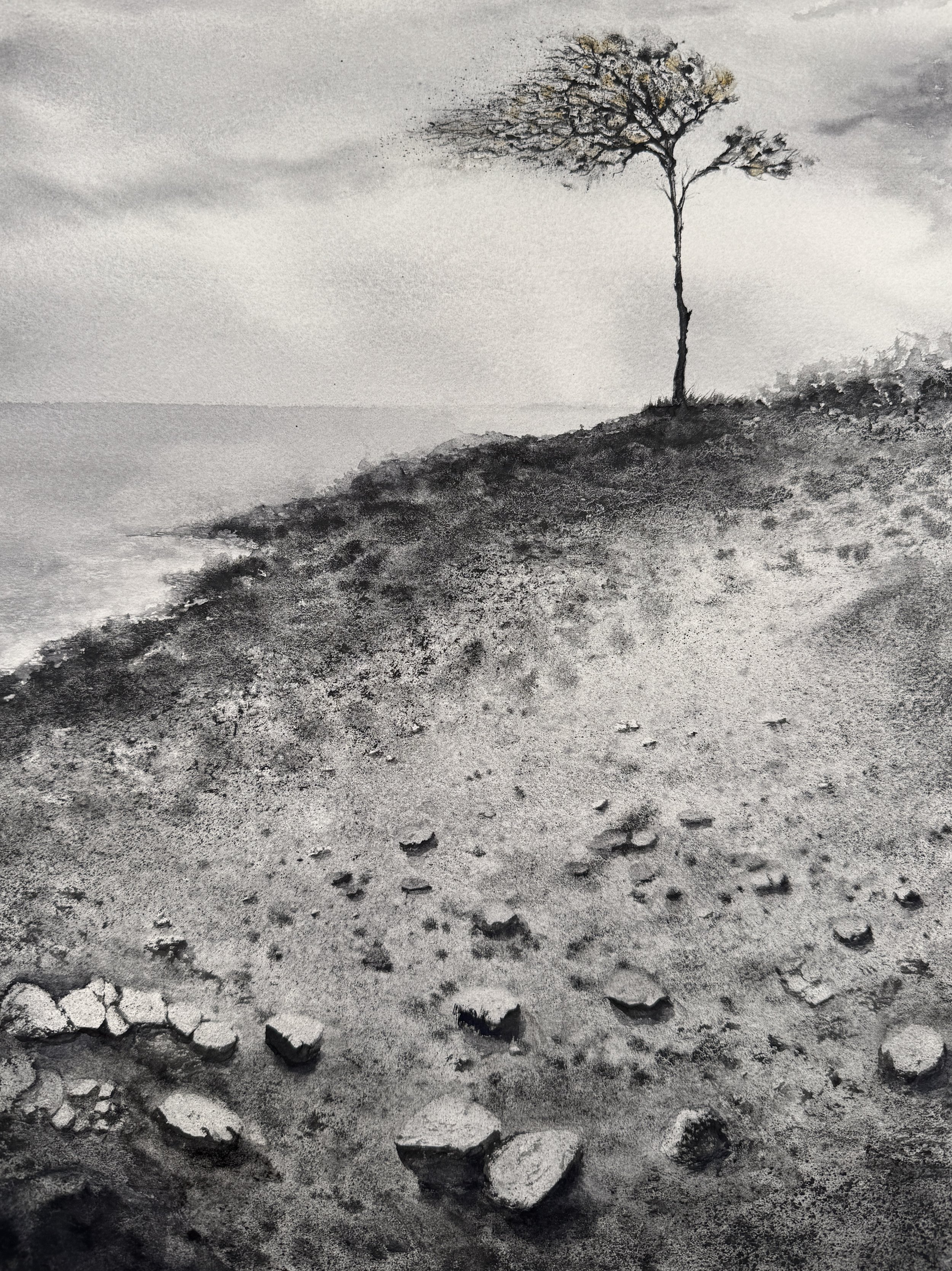 Black and white photo of a barren landscape with cracked, dry earth and footprints leading towards a lone, leafless tree on a small hill.