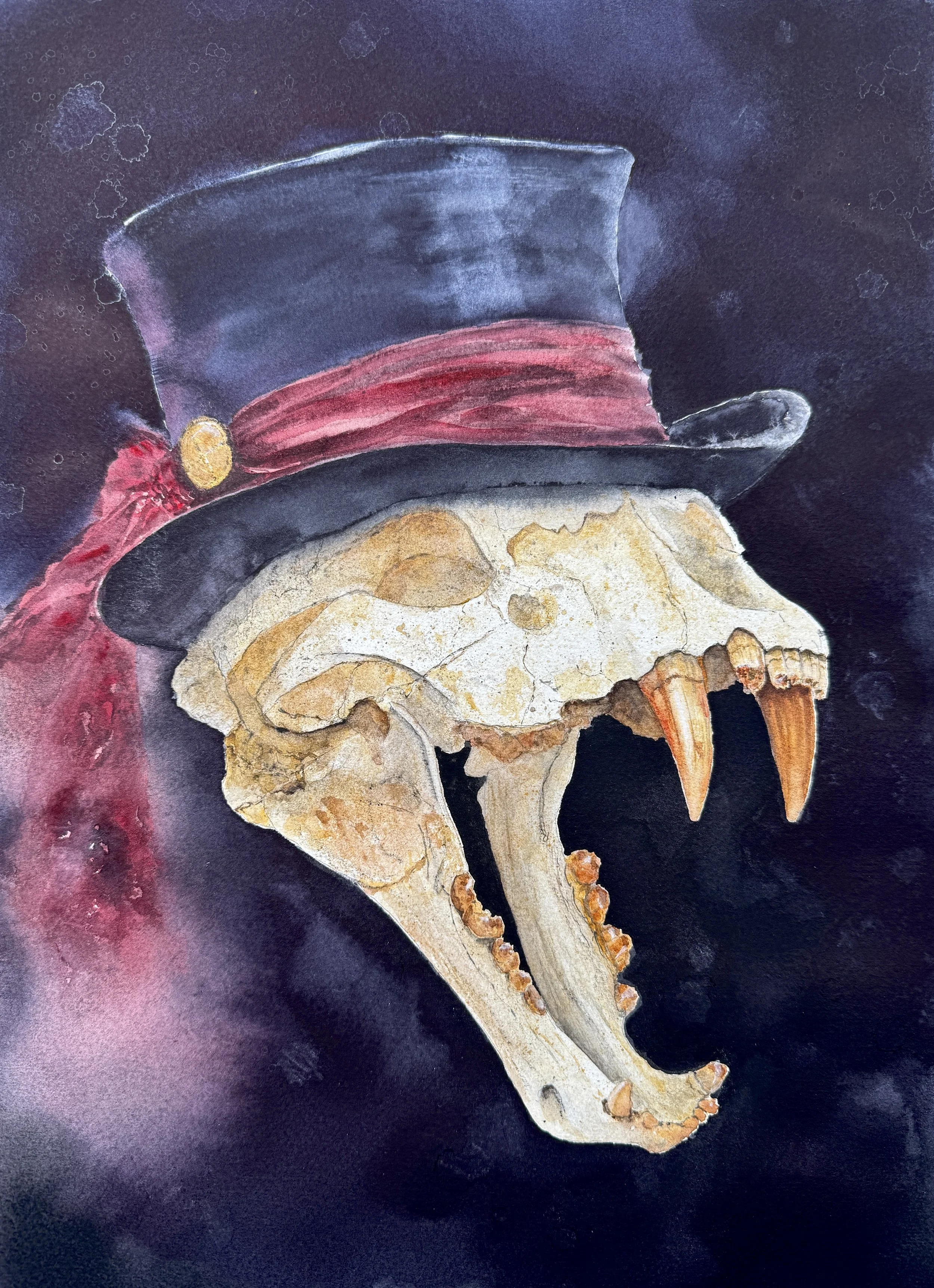 the cat in the hat