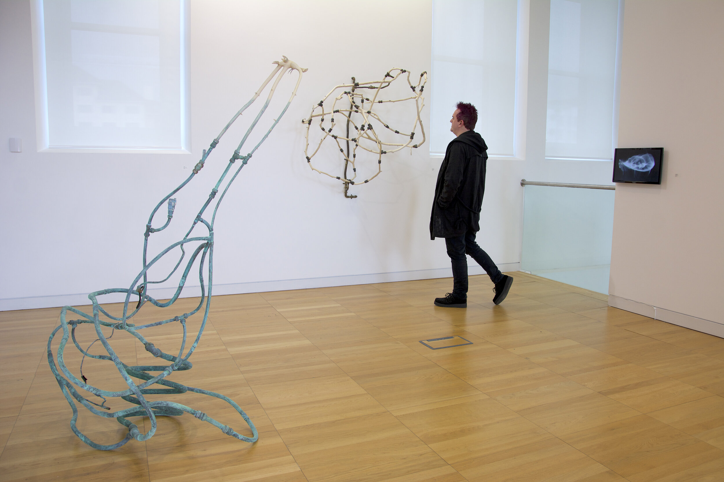 Dredge and Transposon, Installation view 