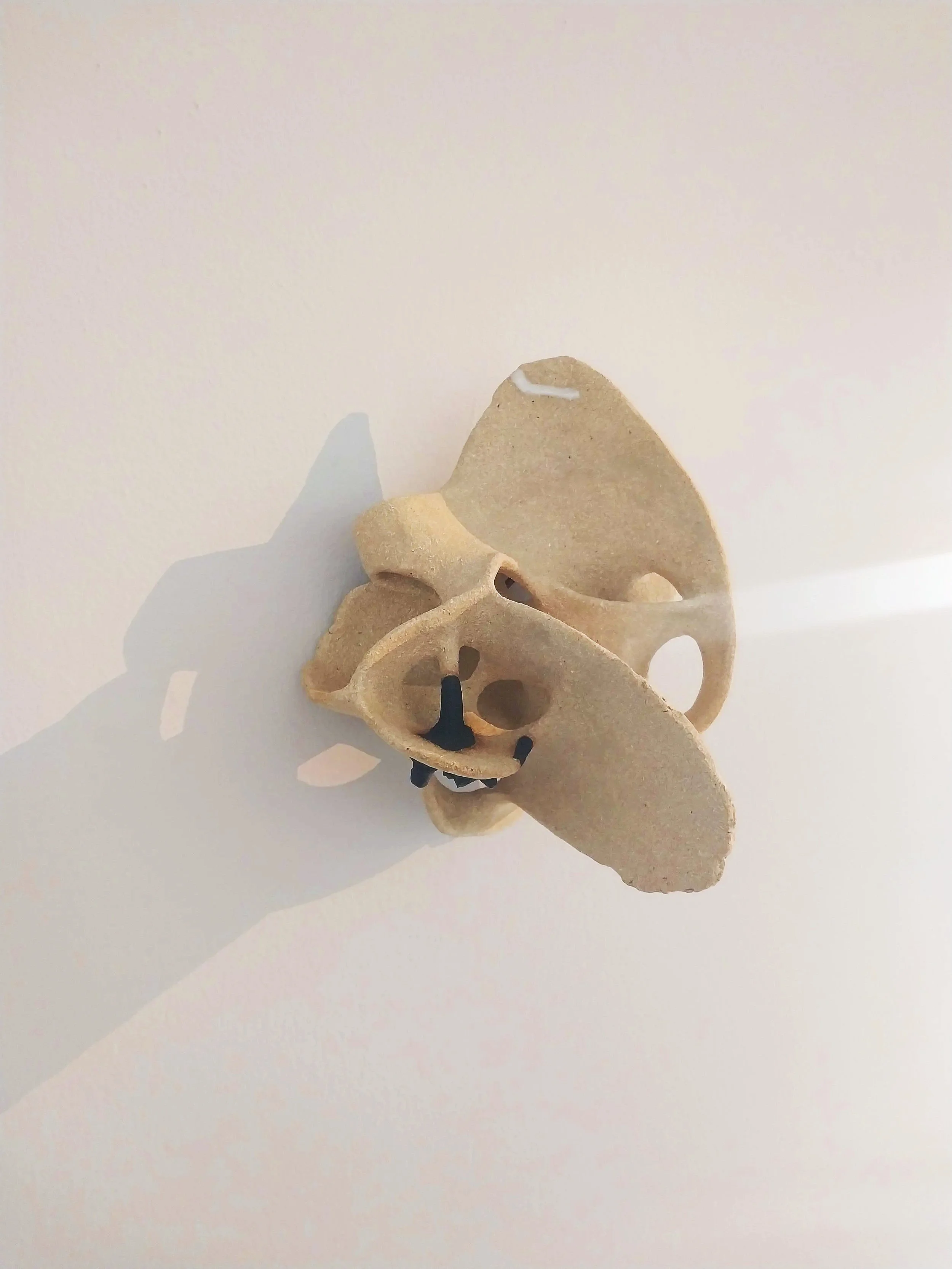 Tesascope (Coral-ations), 2023 at Solstice Arts Centre Navan, Irealnd 2024 ceramic, glaze 20 × 22 × 18