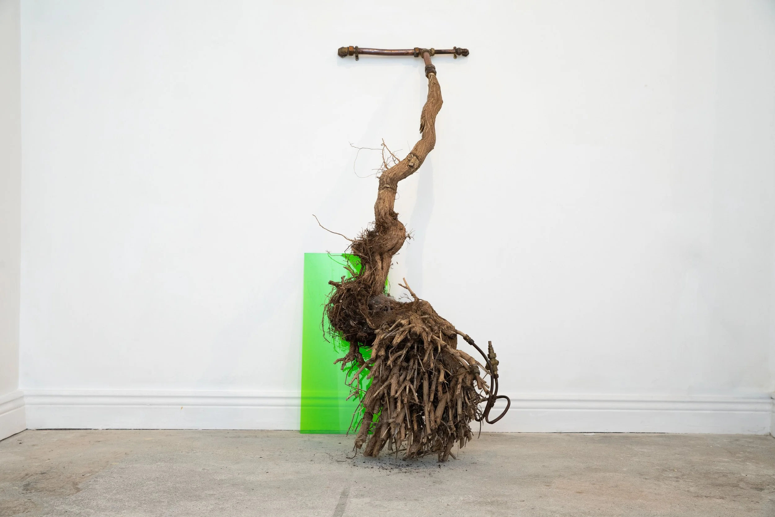 Gush 2025, wood, plumbing, polycarbonate, 122 x 71 x 85