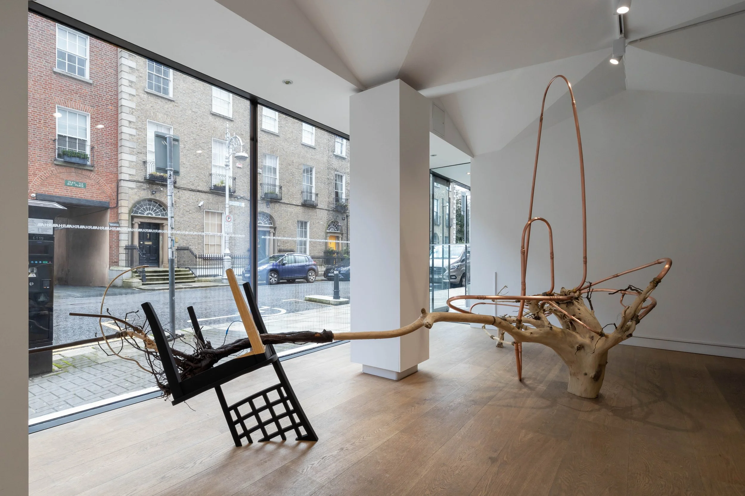 Host 2023, tree roots, chair, plumbing, fischer screws, emergency thermal blanket, black theatre paint, electrical components and tape, old stomatoscope (dental mirror)  4000 x 2500 x 2000