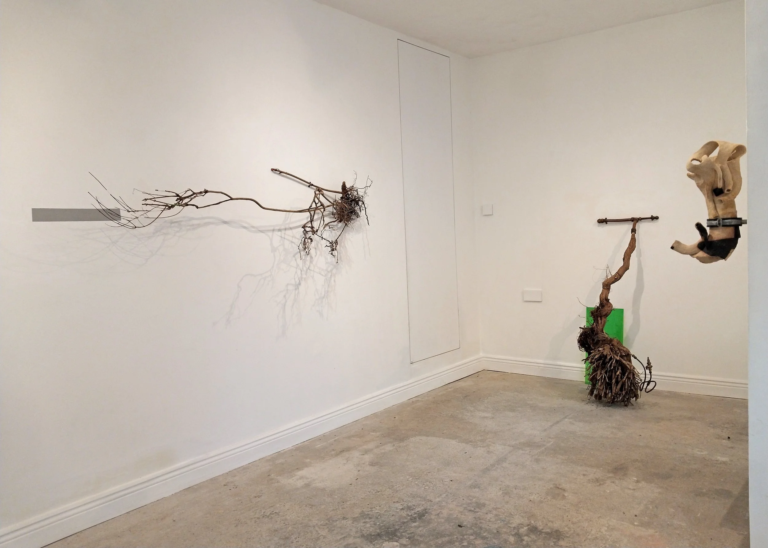 Forest of Single Breaths install 2025, College Lane Gallery Howth