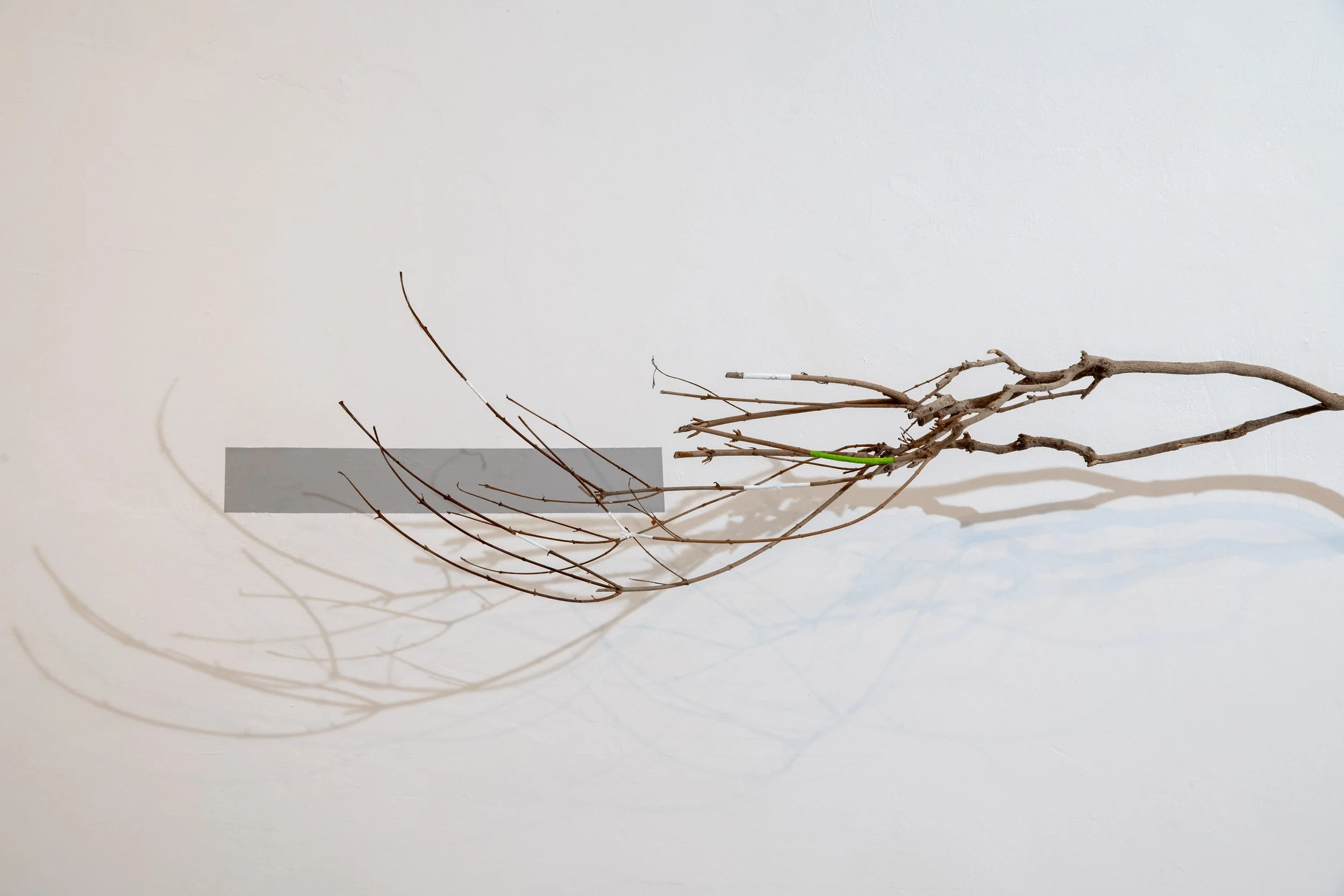 Forest of Single Breaths ll detail 2025, College Lane Gallery