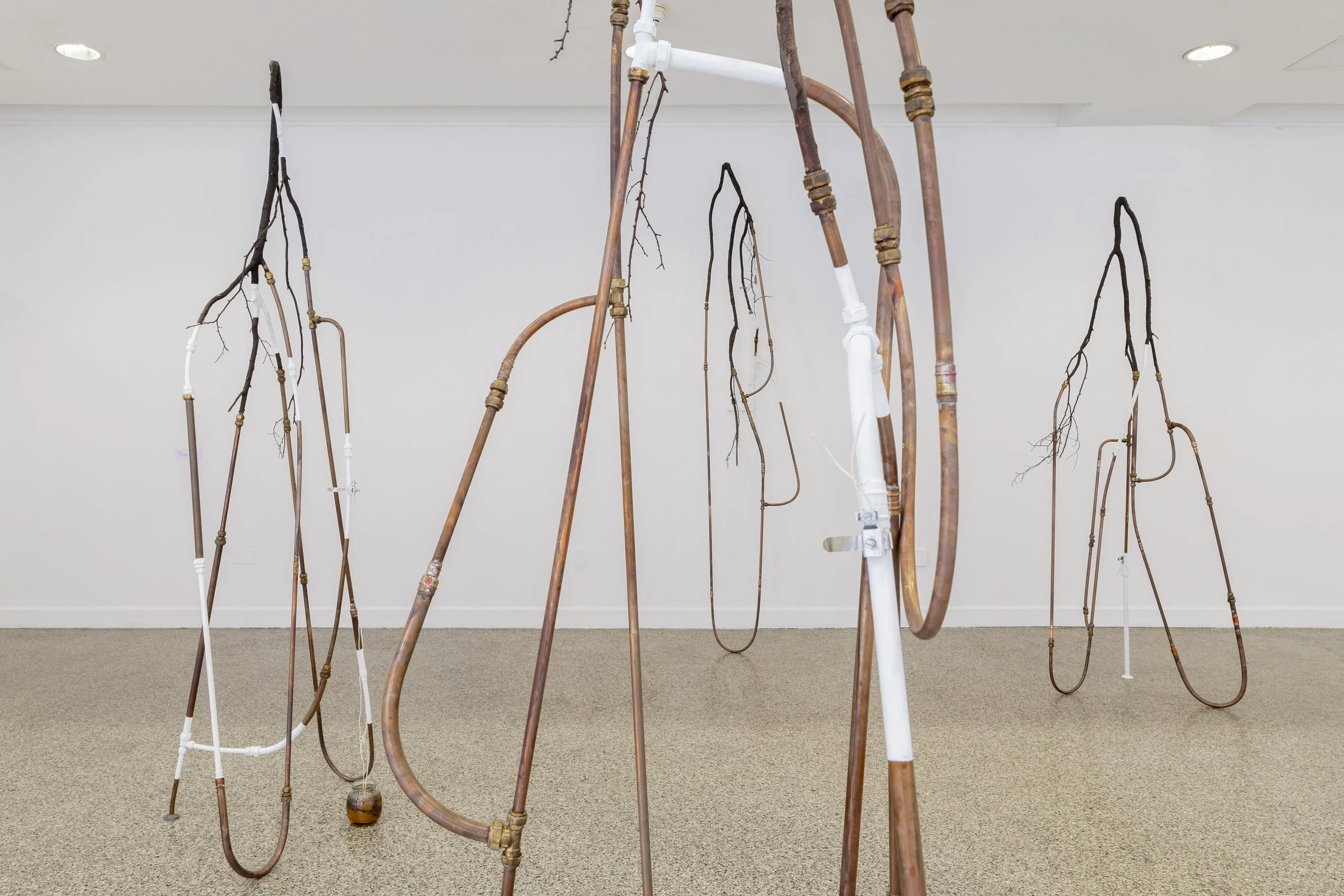 EarthLab detail 2023, plumbing, found tree branches, electric components, glass, water, emulsion wall paint, earth gong sound, 8 modular sculptures 2-6m high, installed dimensions variable