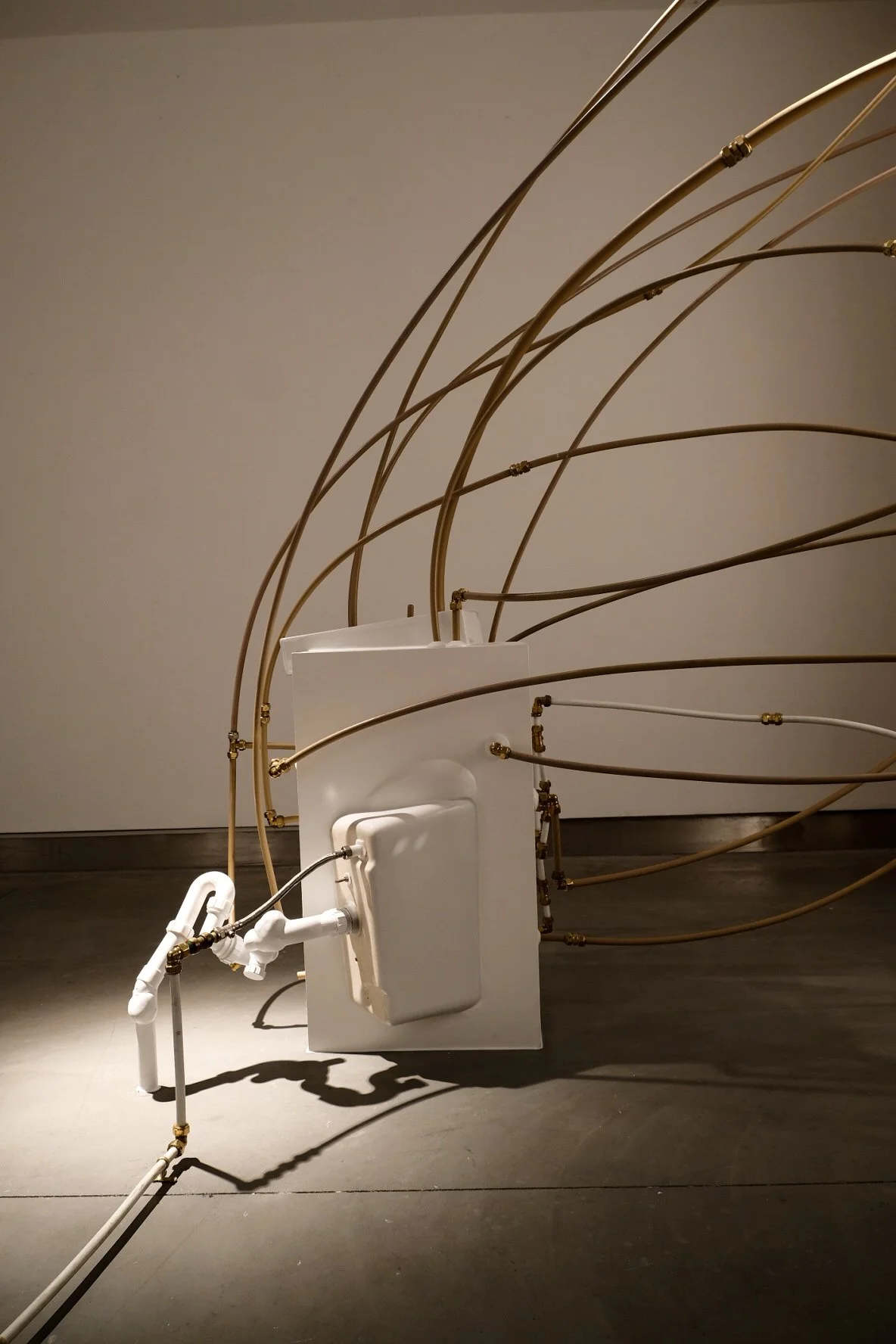 Containment - Chthonic ll  detail, 2020, wood, bathroom furniture, electrical components, plumbing pipes and connectors, filler, phone video, plant parts, crustacean, dimensions variable