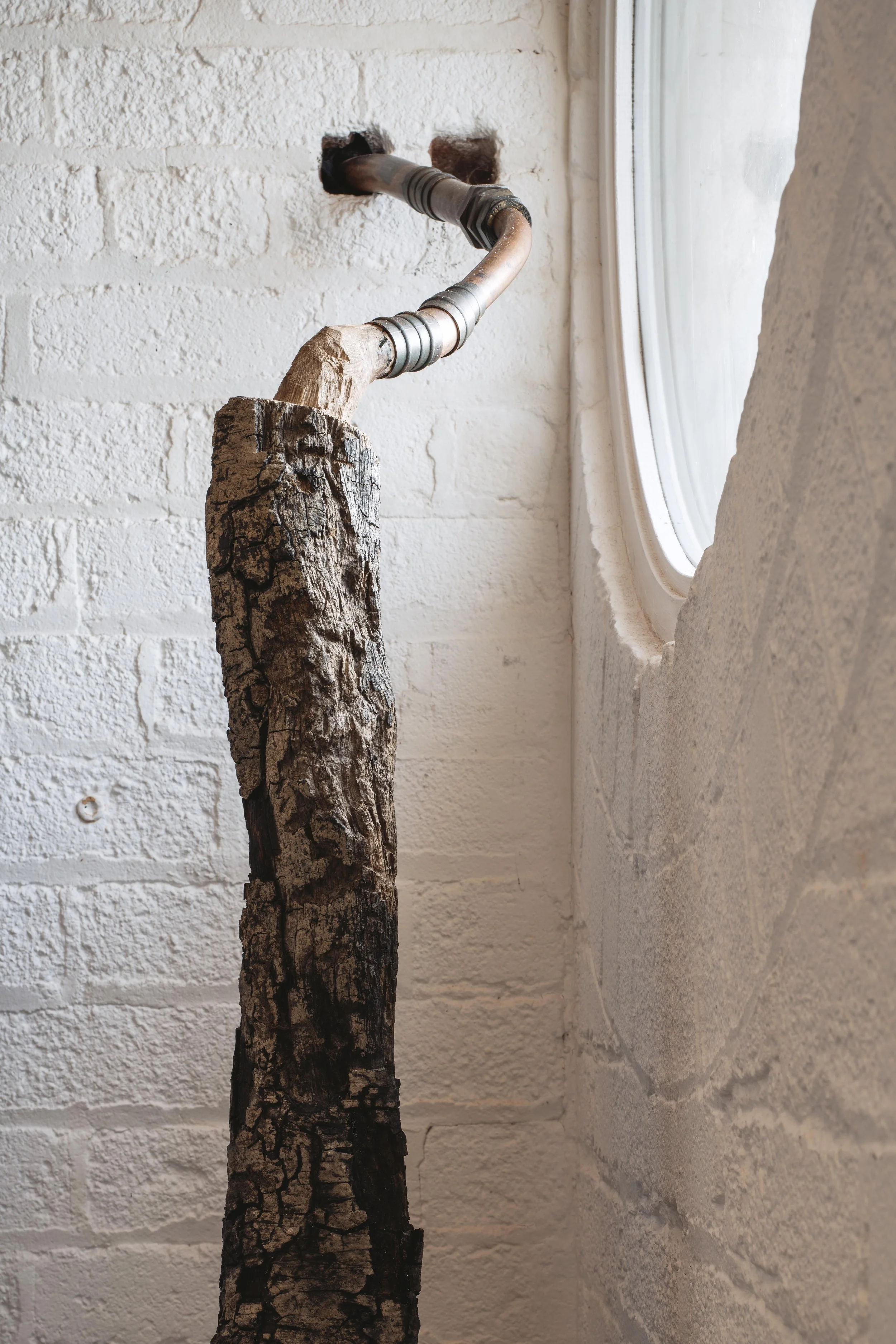 Subductor detail 2026, scavenged pond log, plumbing, existing wall inlet, 210 x 30 x 65, Substrata exhibition, Substation Dublin Port