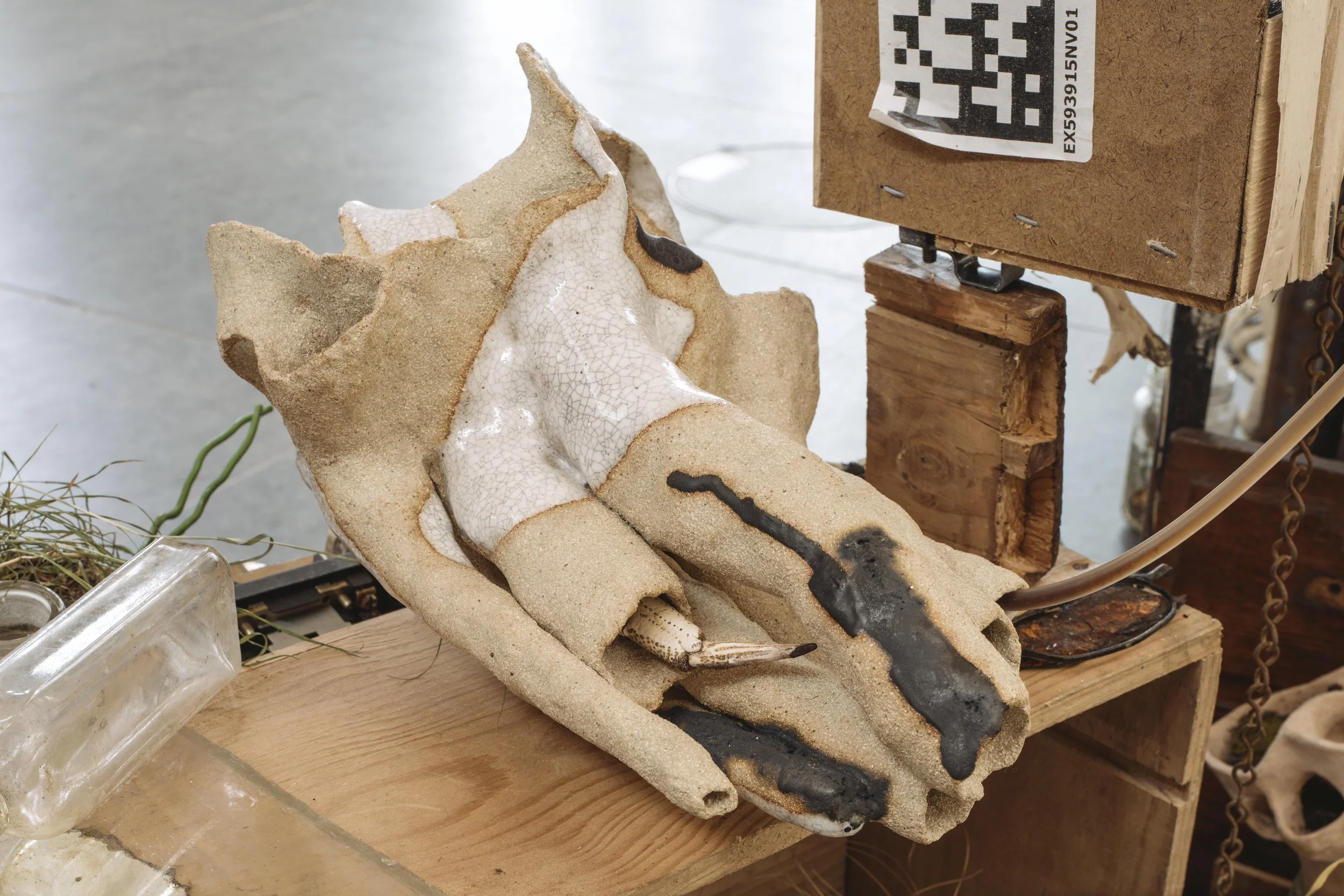 Gravid 2025 (Hydrozomia), ceramic, copper, glaze, Substrata Exhibition