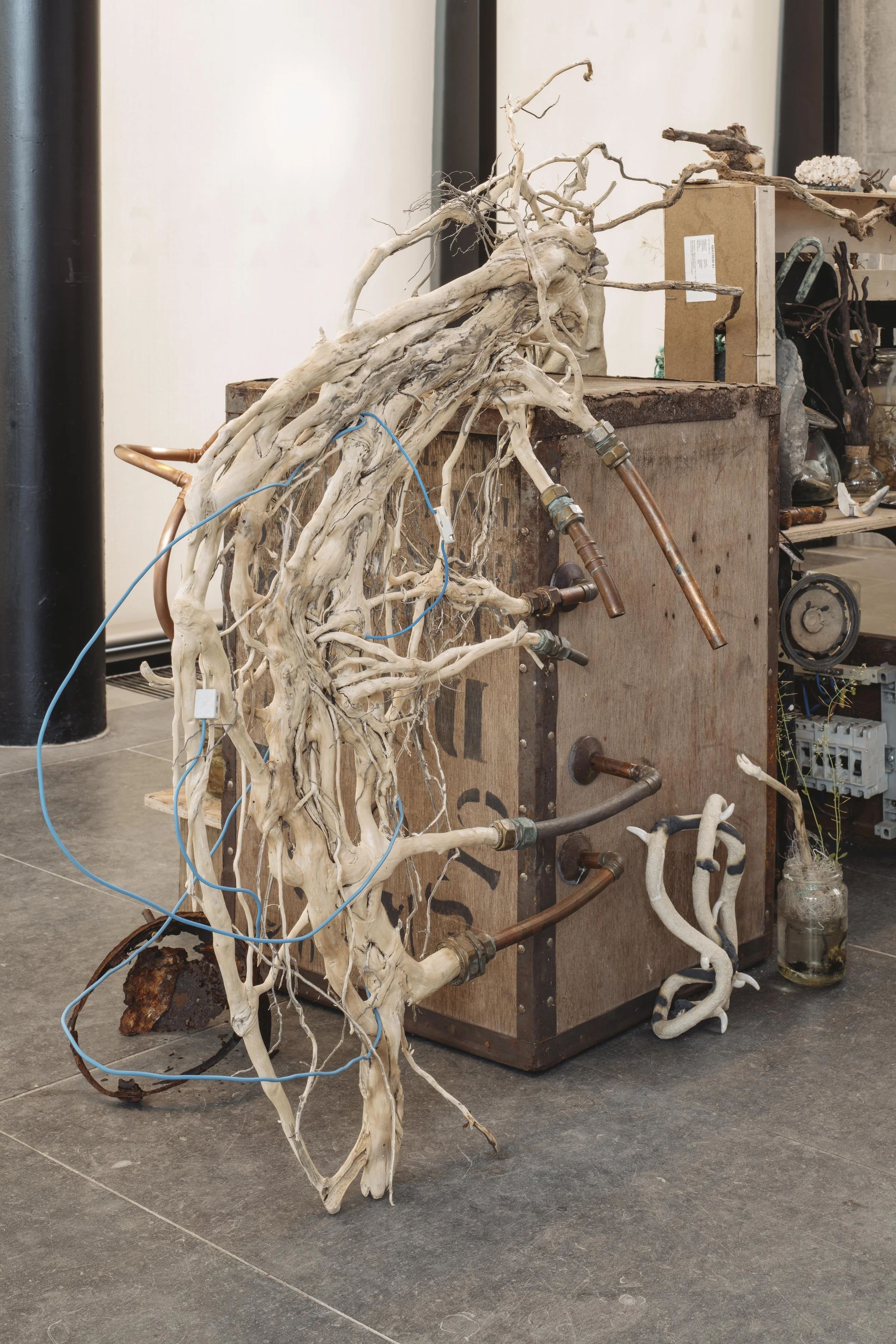 Hydrozomia: between seas - detail of roots plumbed into tea chest; ceramic, crustacean and electrical and disintered elements