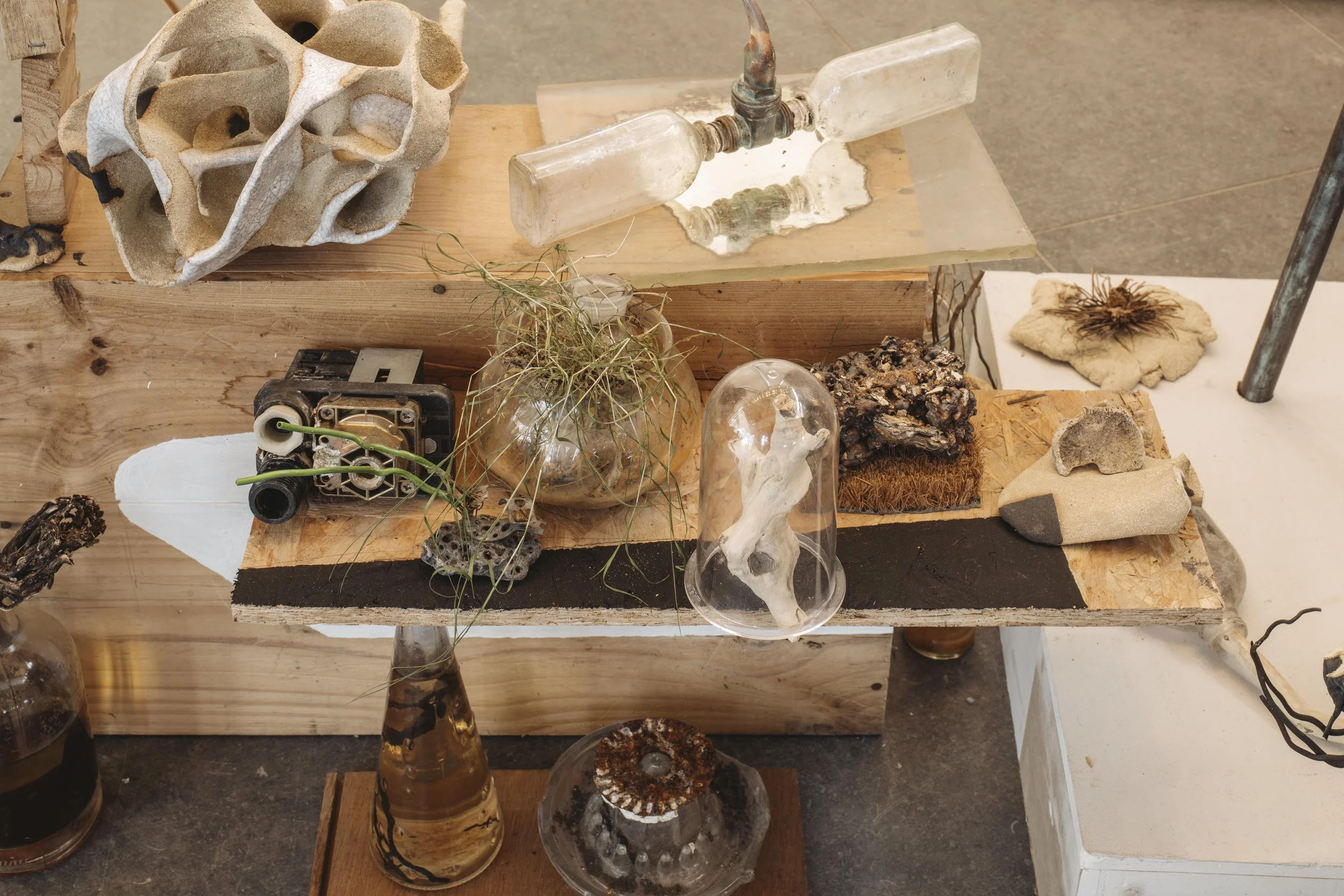 Hydrozomia: between seas 2026 detail, disintered and ceramic elements, glass, water, electrical & medical components, weeds, paint, wooden boxes