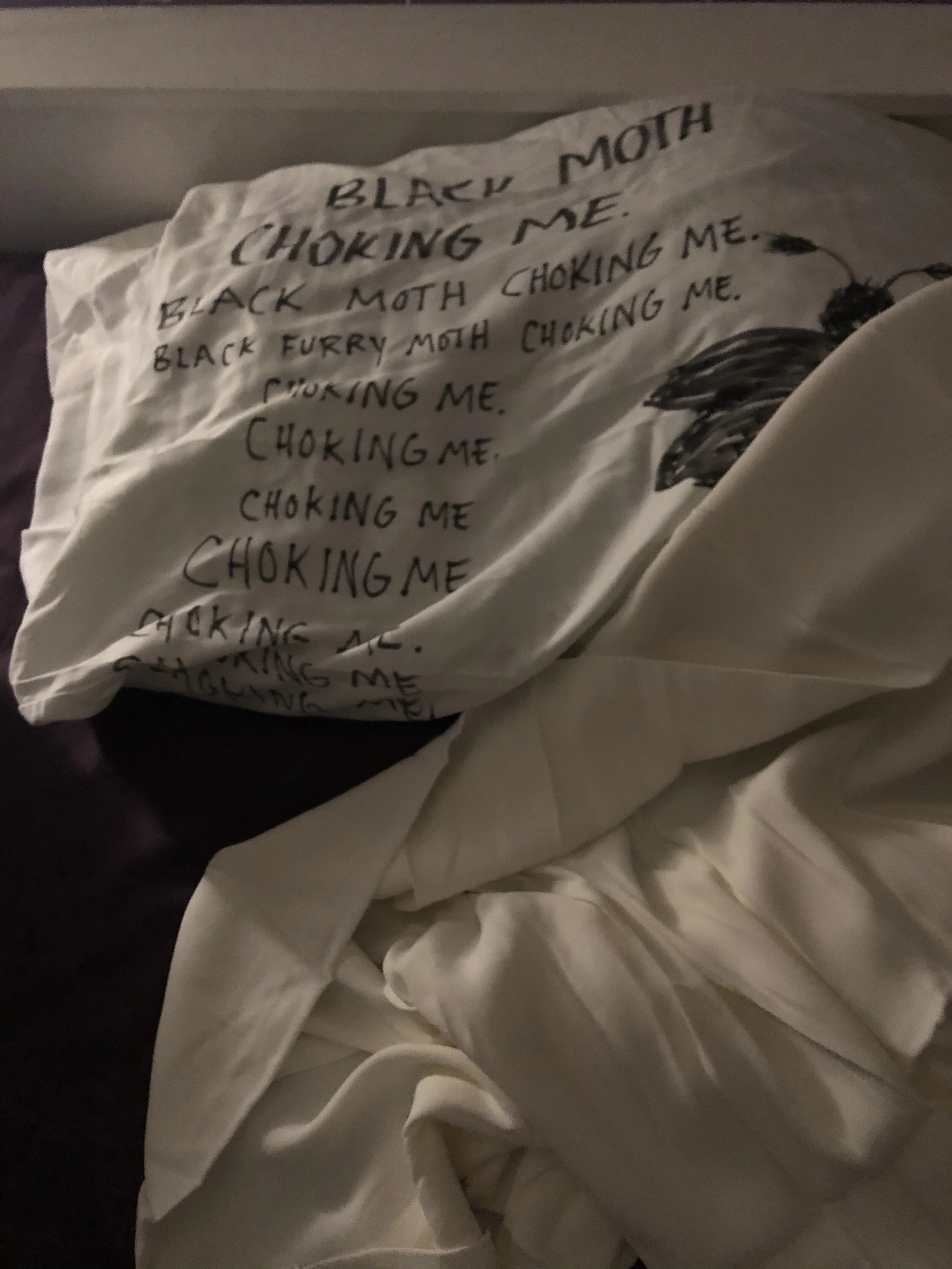 moth pillow 1.jpg