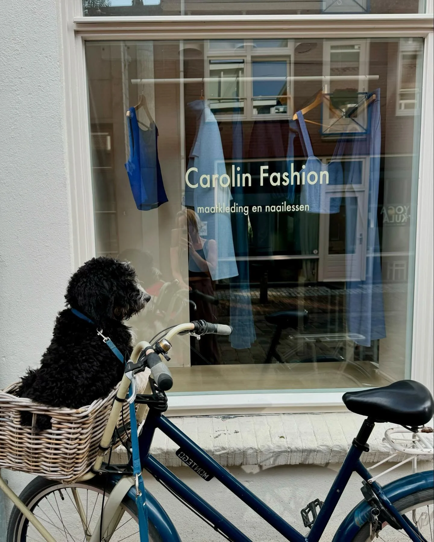 💙💙💙

#eigenwinkel #bottelstraat #nijmegen #naailes #collectie #dameskleding #handgemaakt  #duurzamemode #kiesdestof #slowfashion #bernedoodle #puppy