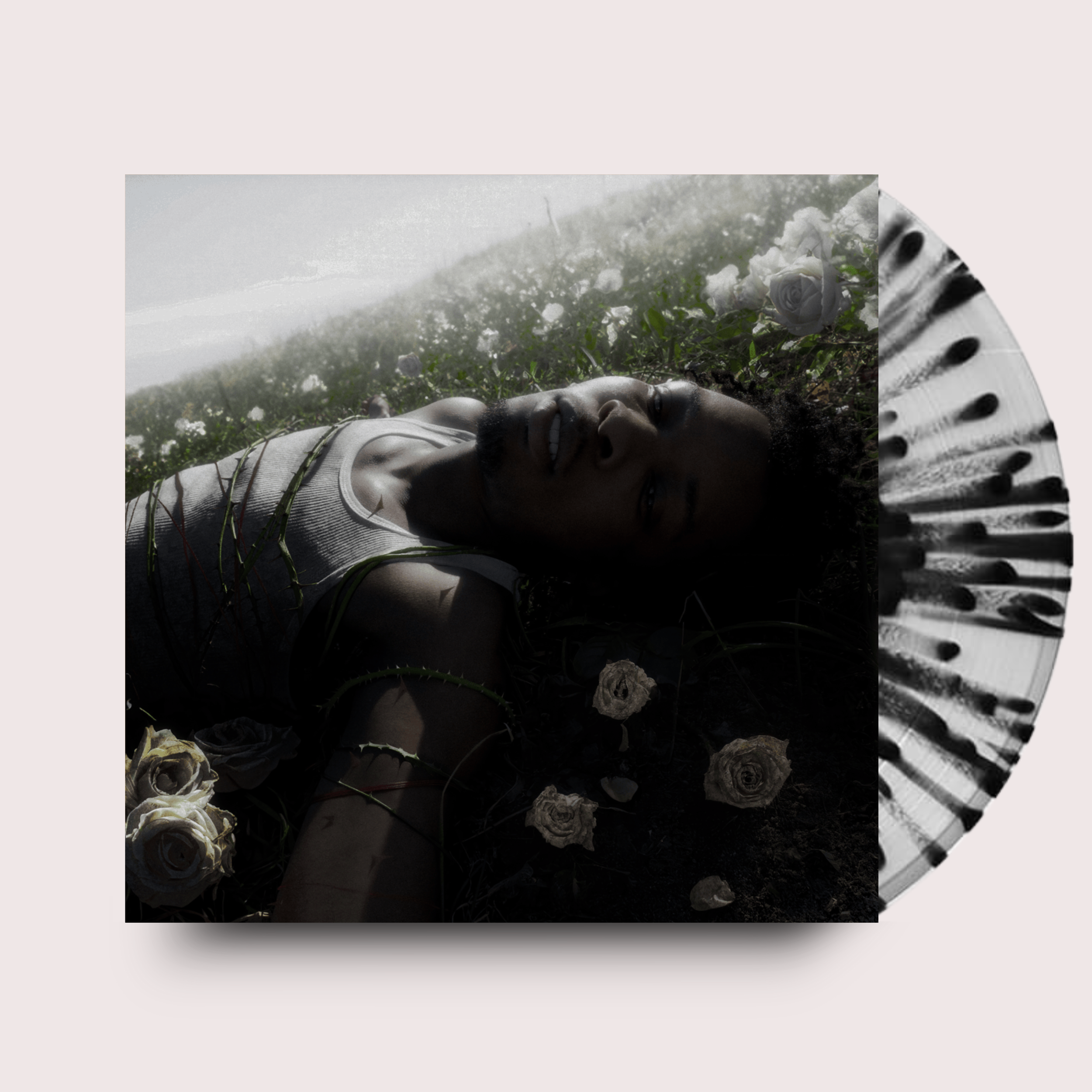 Withered- D4VD