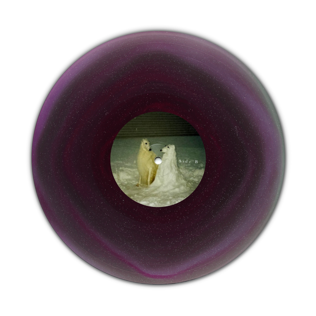 Disks (10).png