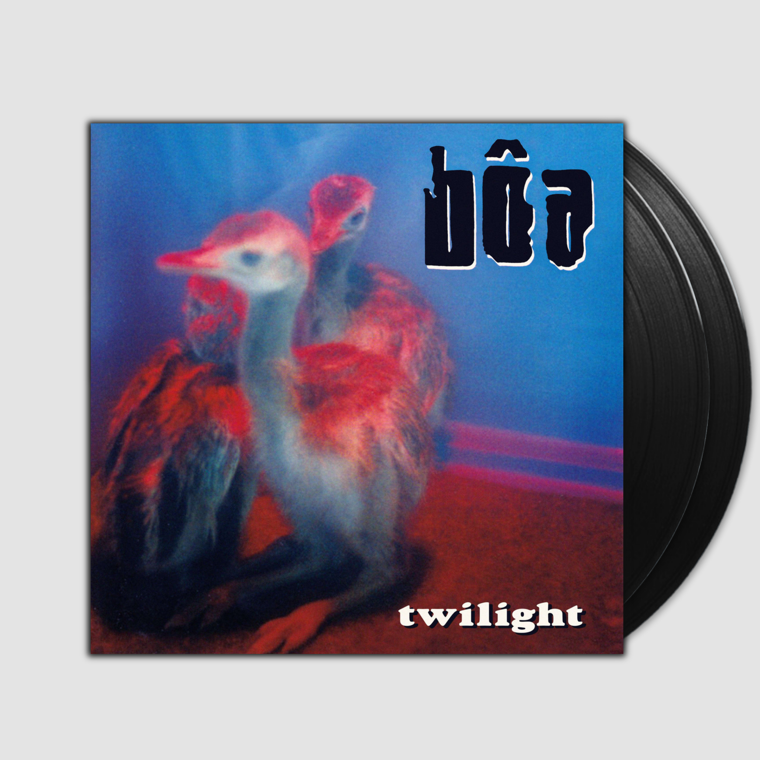 Twilight- Bôa