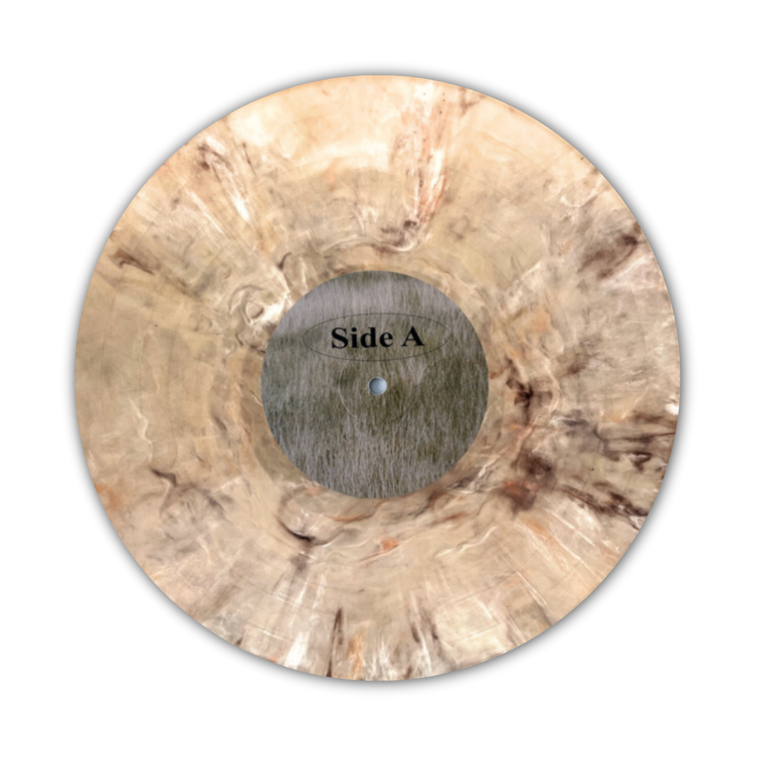 Disks (6).png