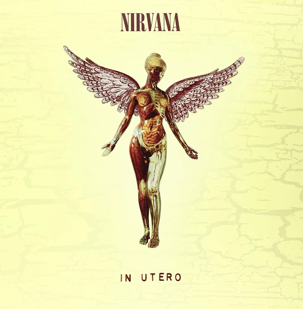 NIRVANA レコード　IN UTERO In Utero- Nirvana — Vertigo Vinyl