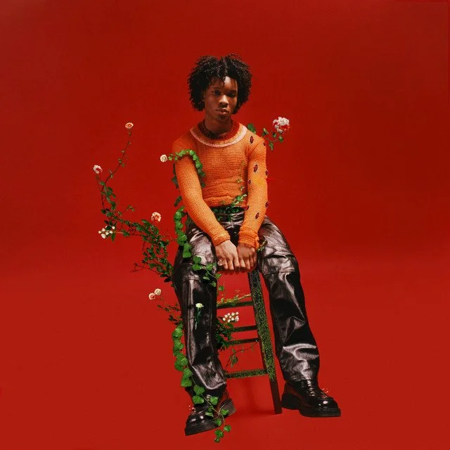 Petals To Thorns- D4VD Limited Edition Black Ice Vinyl LP