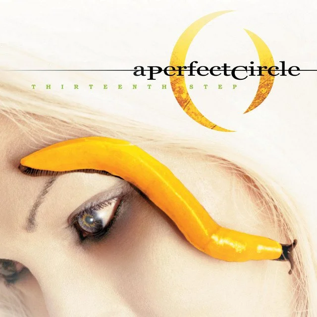 Thirteenth Step- A Perfect Circle Black Vinyl LP — Vertigo Vinyl