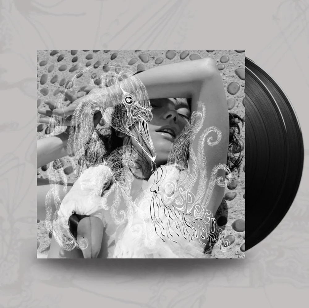 Björk ビョーク Vespertine ヴェスパタイン アナログ 2LP Björk ‎- Vespertine – Björk Official Store