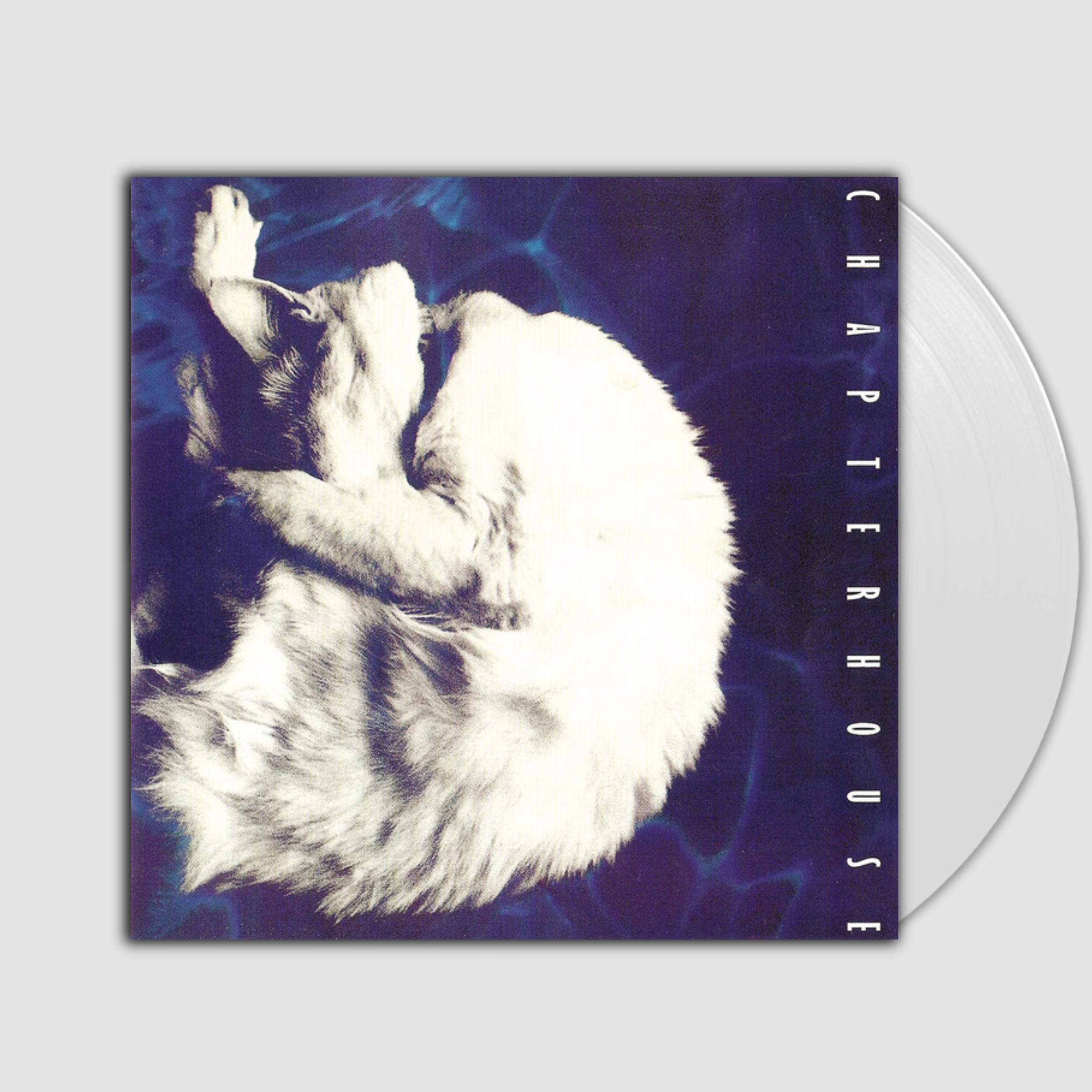 Whirlpool- Chapterhouse