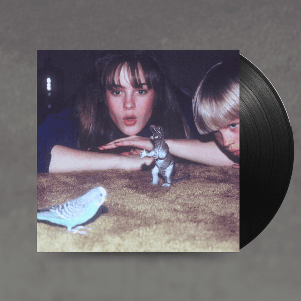 洋楽 Dreams (B.I.G. Classics Reimagined) 2LP 洋楽 Dreams (B.I.G. Classics Reimagined) 2LP DREAMS (B.I.G.