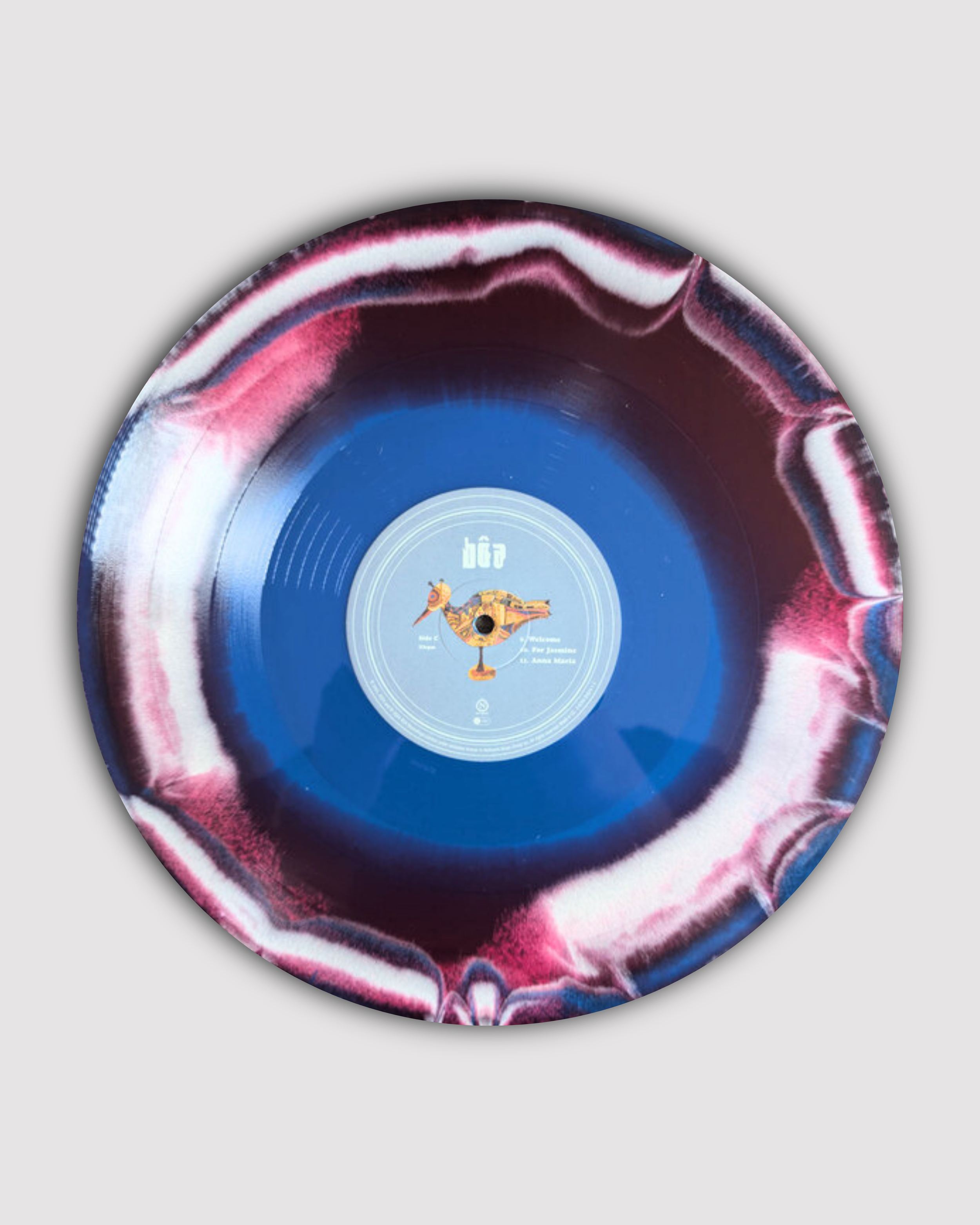 LAST CHANCE: Twilight- Bôa