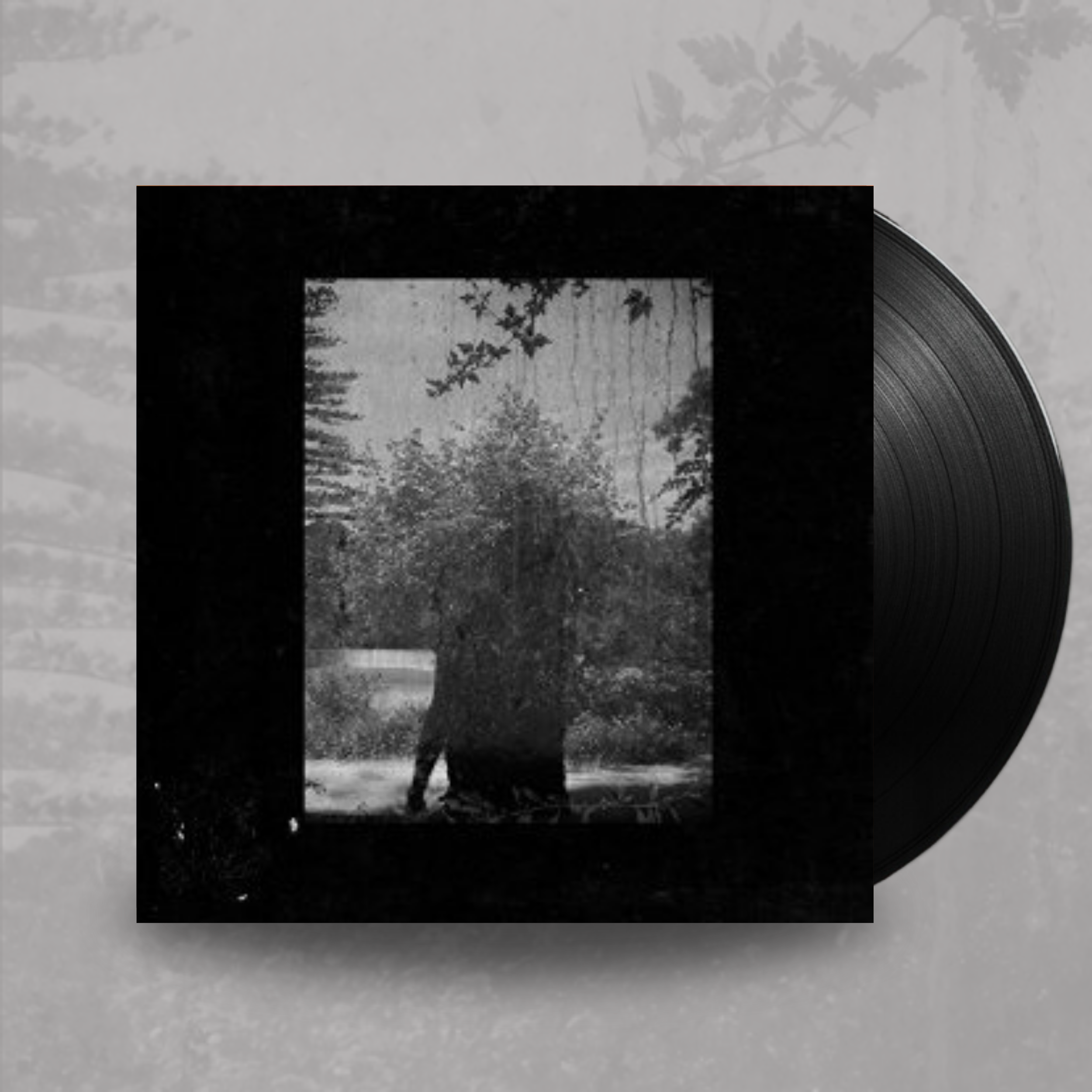 Ruins- Grouper