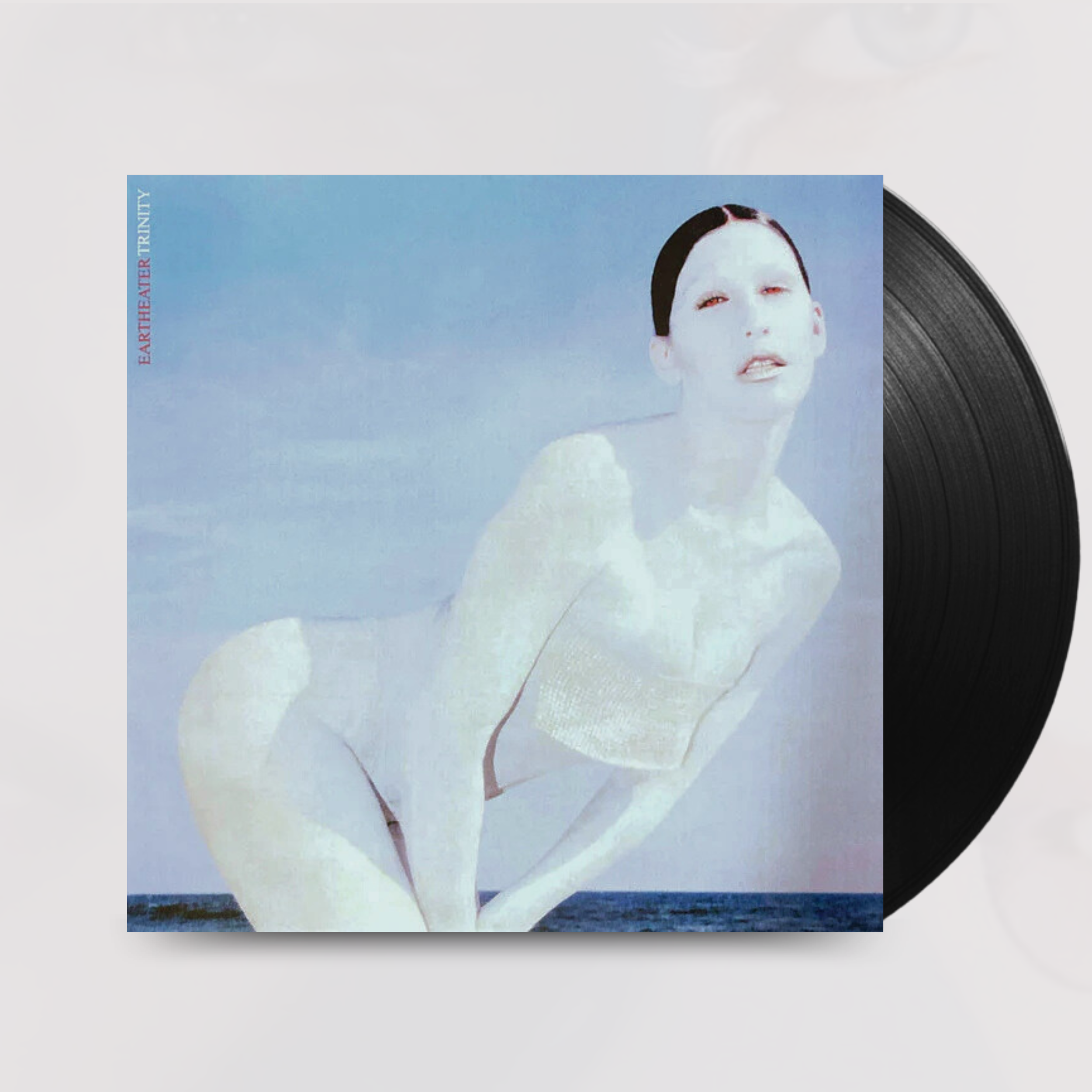 Vinyl -5.png