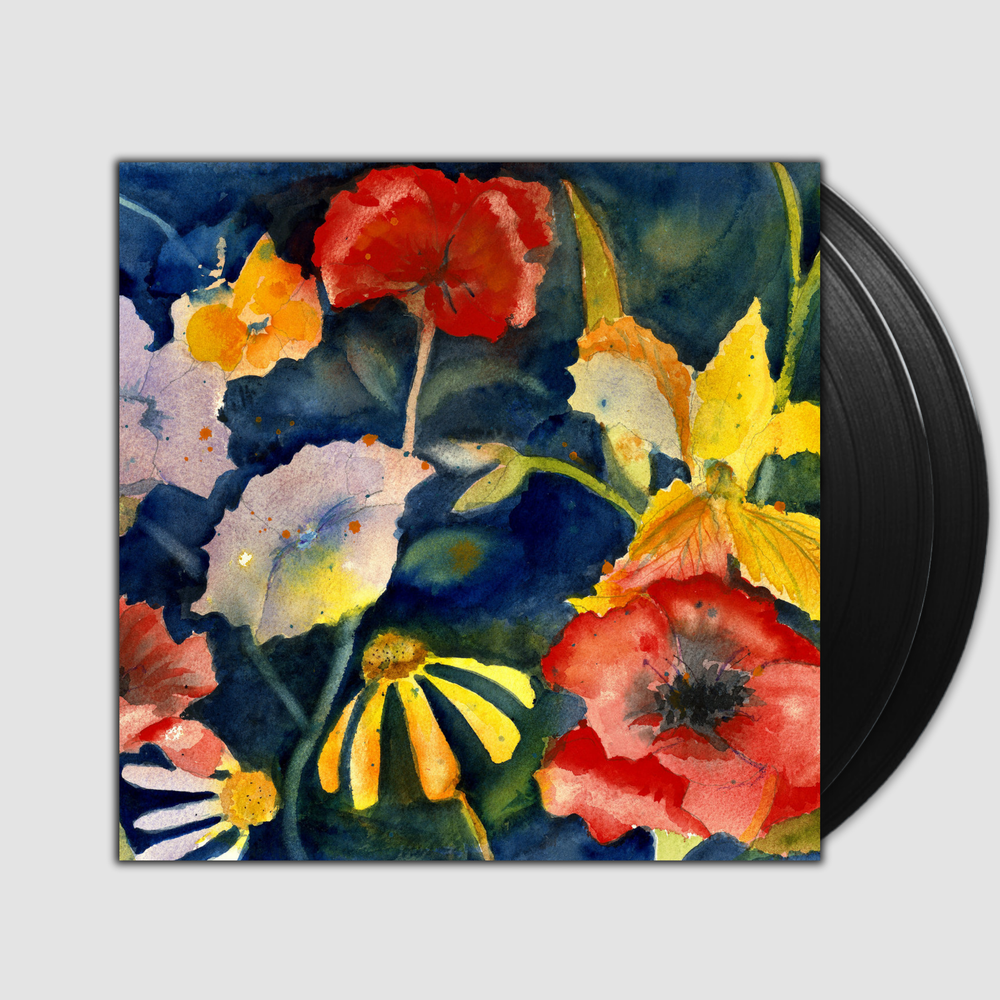 Songs And Instrumentals- Adrianne Lenker — Vertigo Vinyl