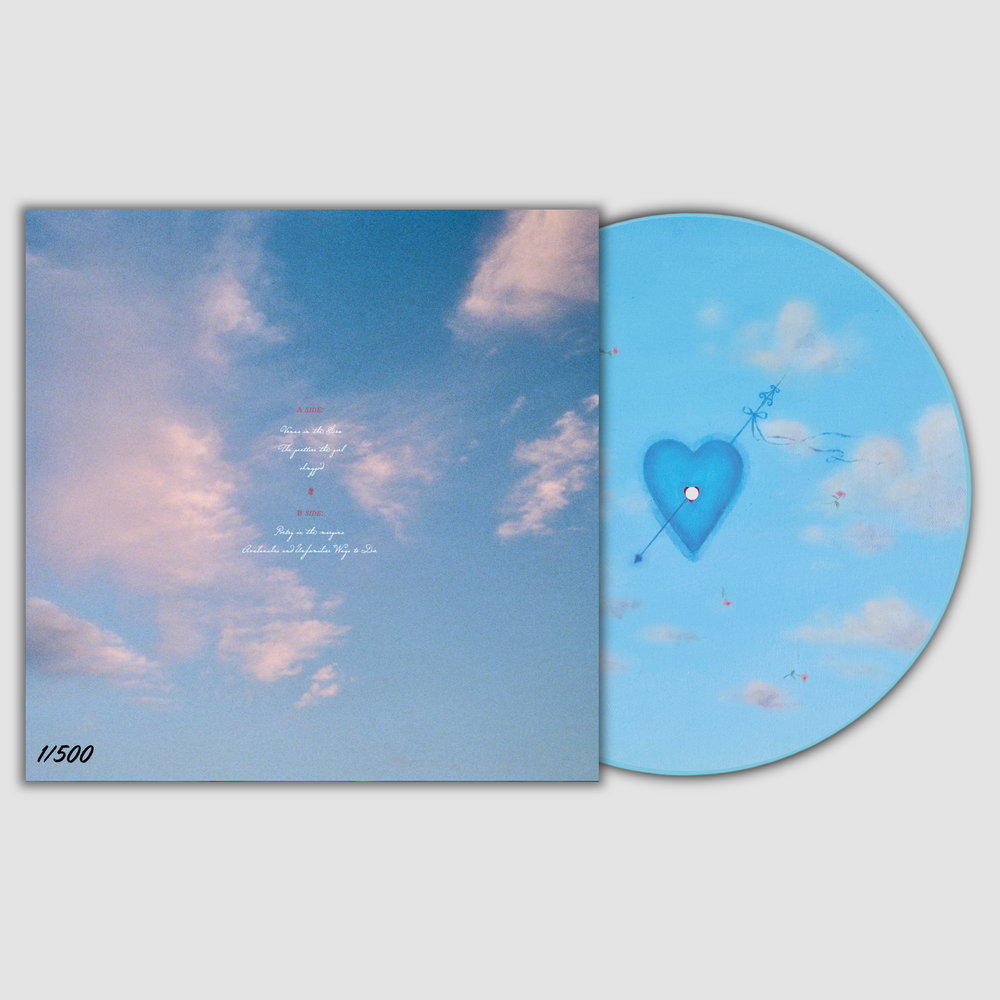 VulfpeckThrilloftheArts LP 2018 picture盤 VulfpeckThrilloftheArts