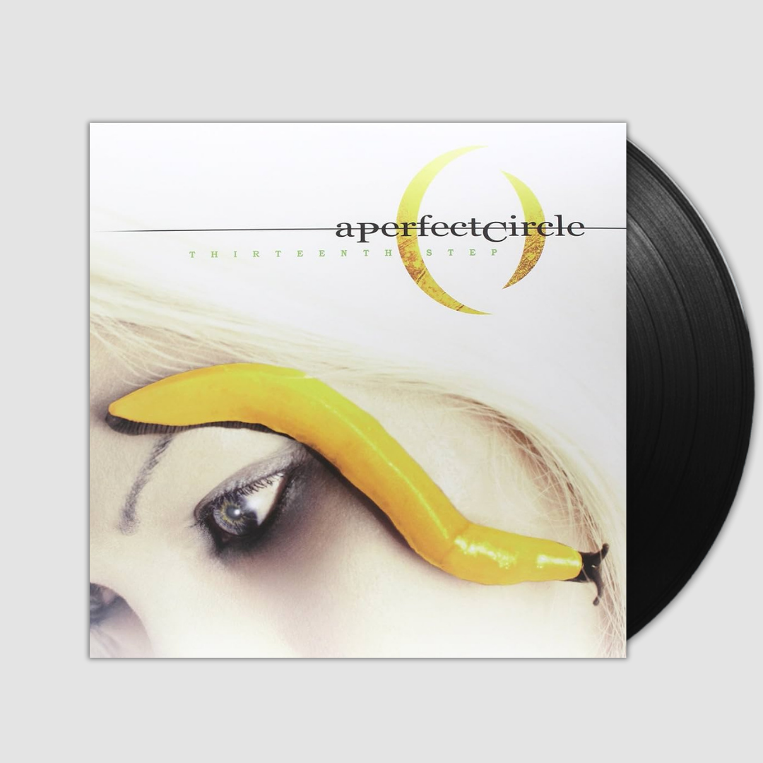 Thirteenth Step- A Perfect Circle