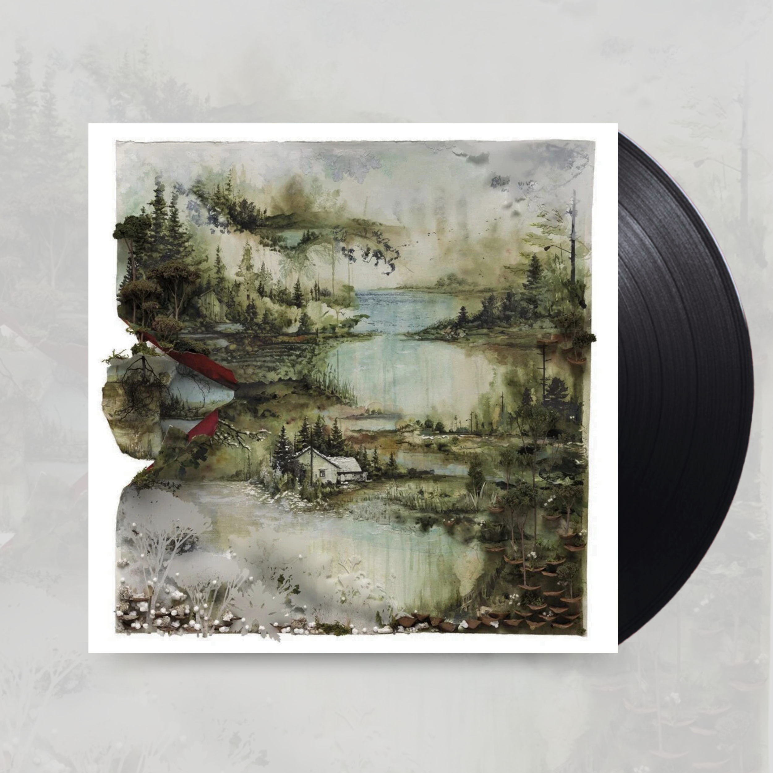 Bon Iver- Bon Iver
