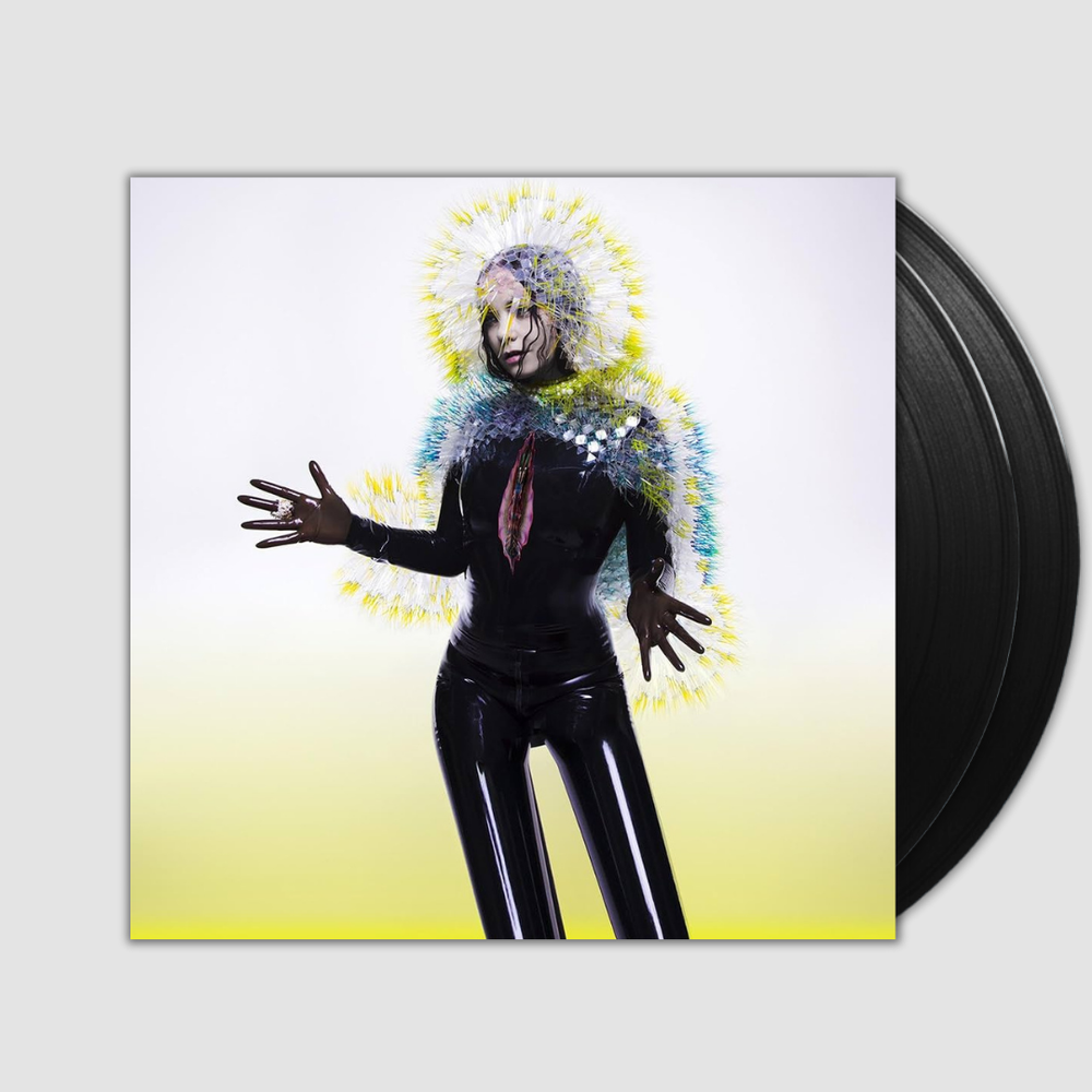 【非売品】bjork ビョーク『Vulnicura』ポスター　未使用品 Bjork Vulnicura No Frame Vertical Poster