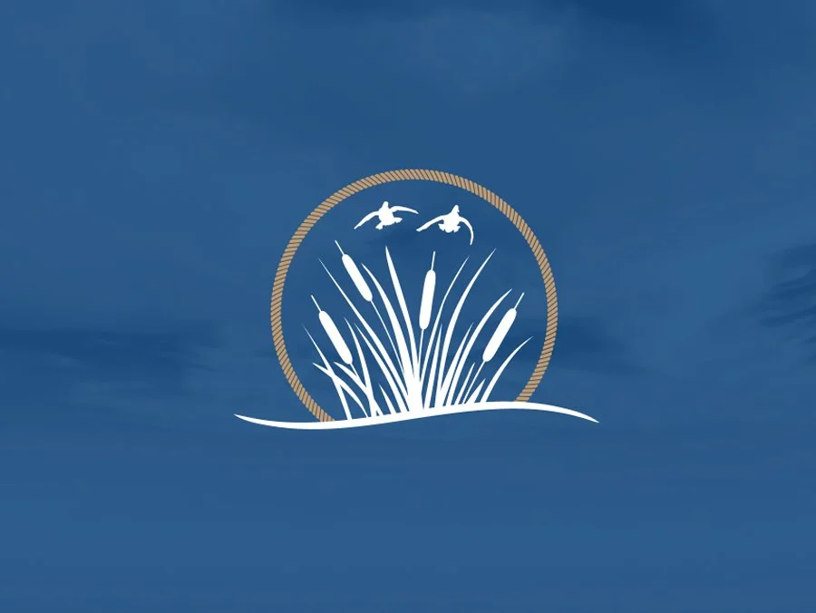 Financial Planning and Investments