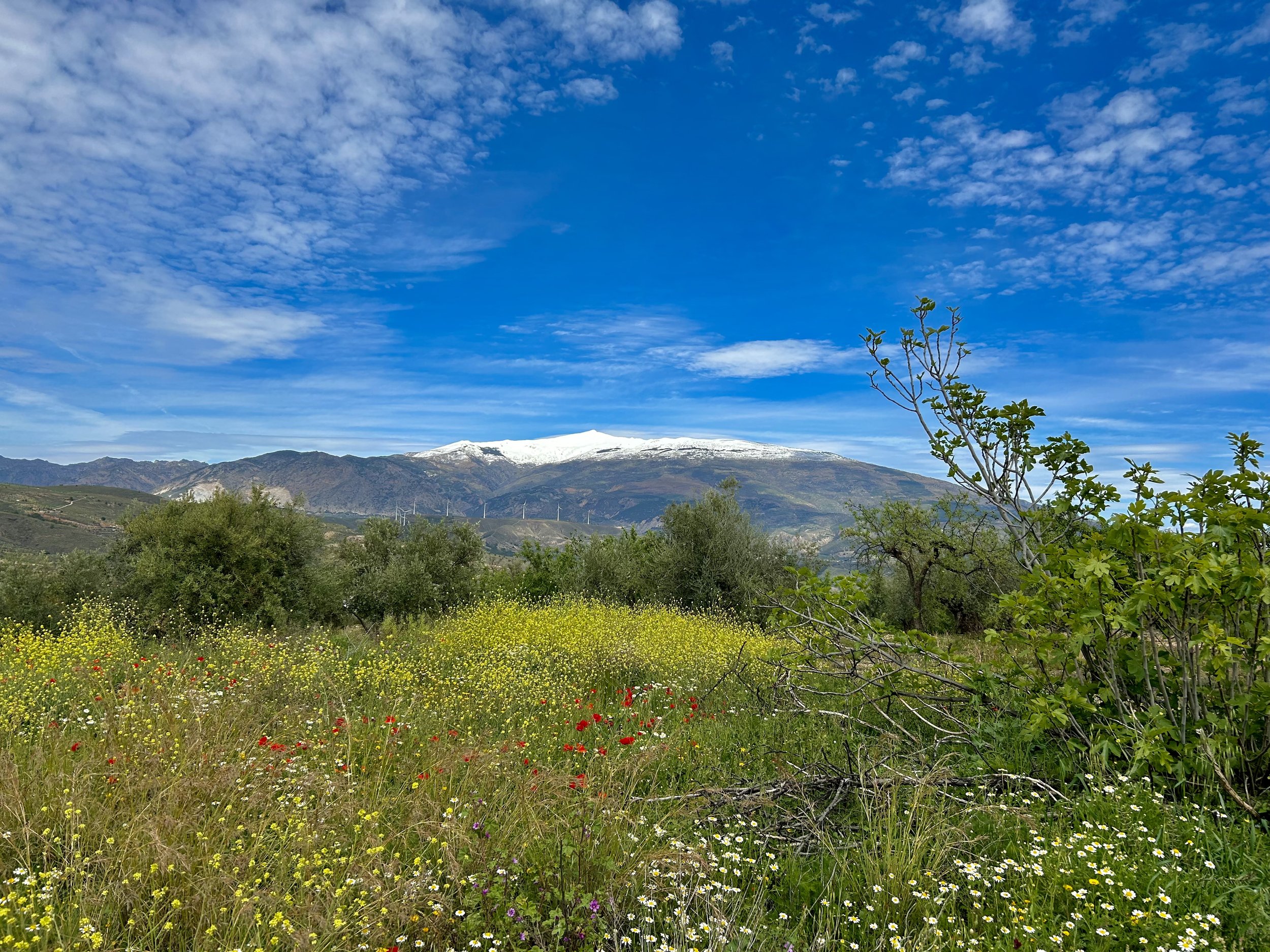 Sierra Nevada soon after the première of Serra-Sierra