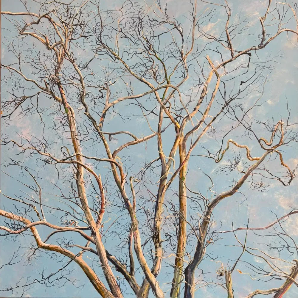 throughthe trees5.jpeg