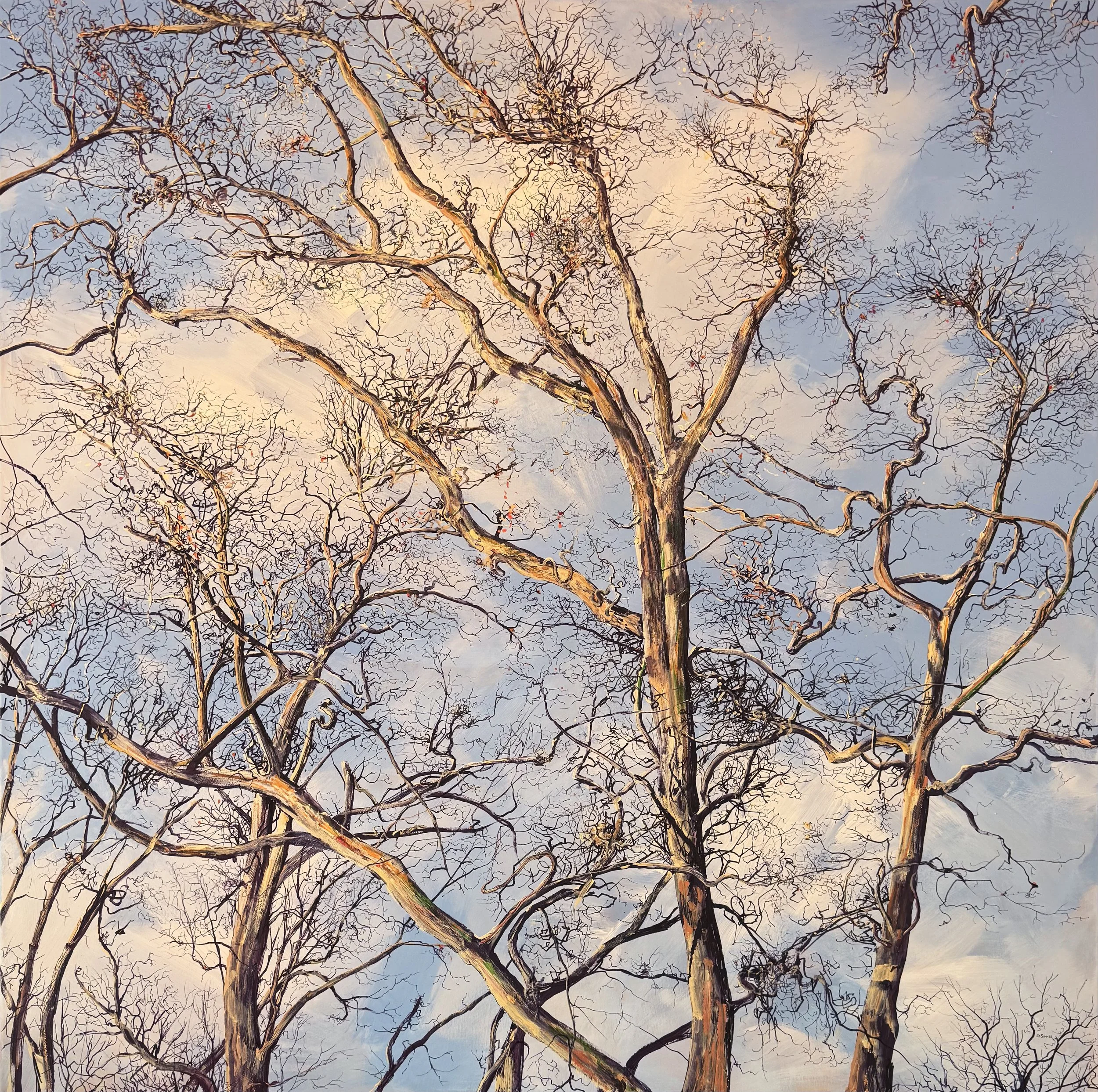 Through the Trees Print
