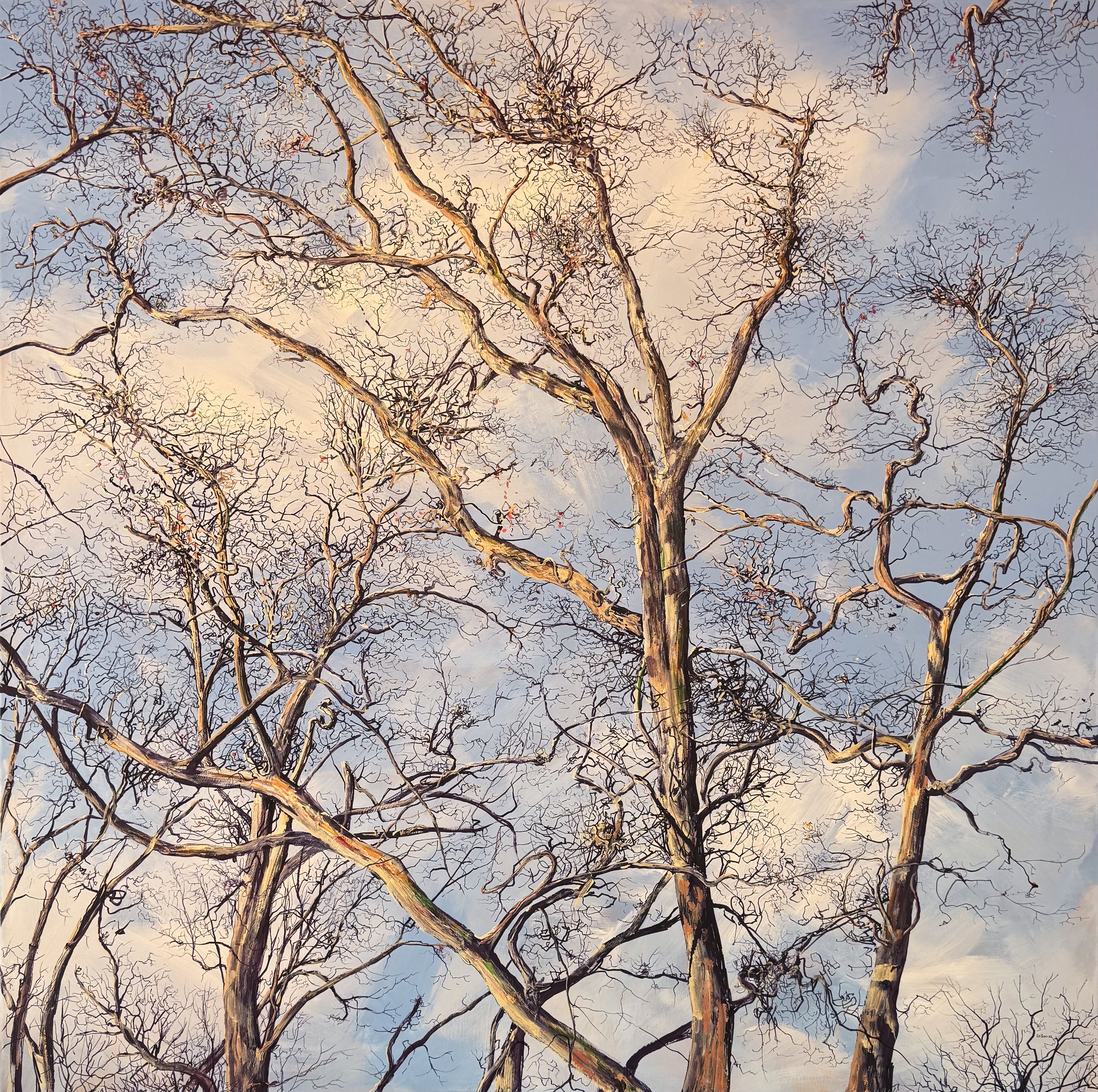 Through the Trees Print