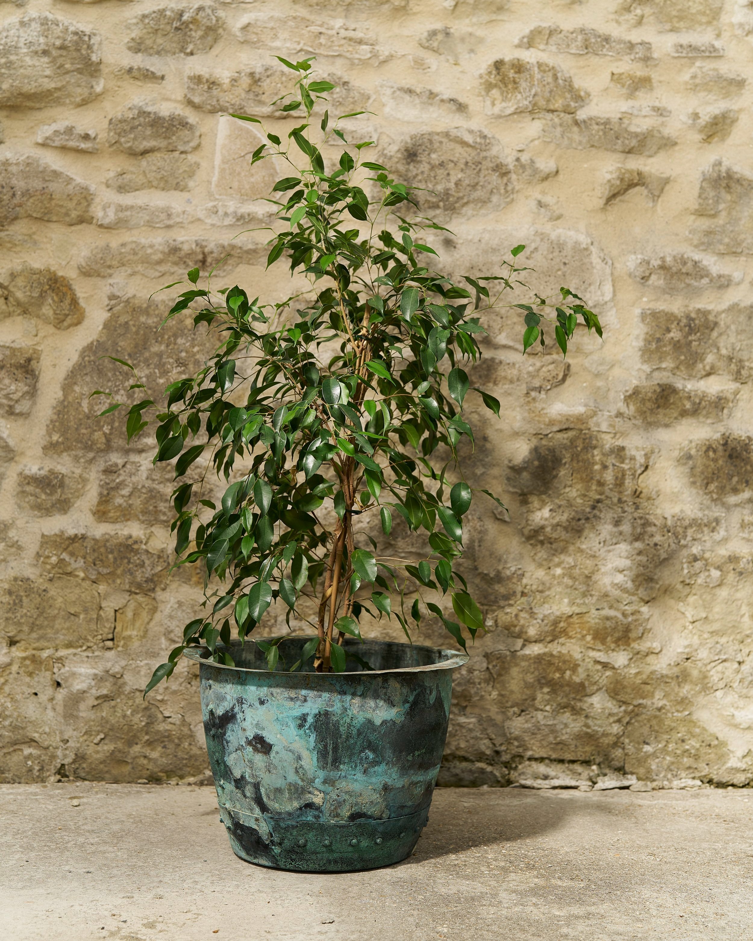 240819_RT_SetInteriors_0171.jpg