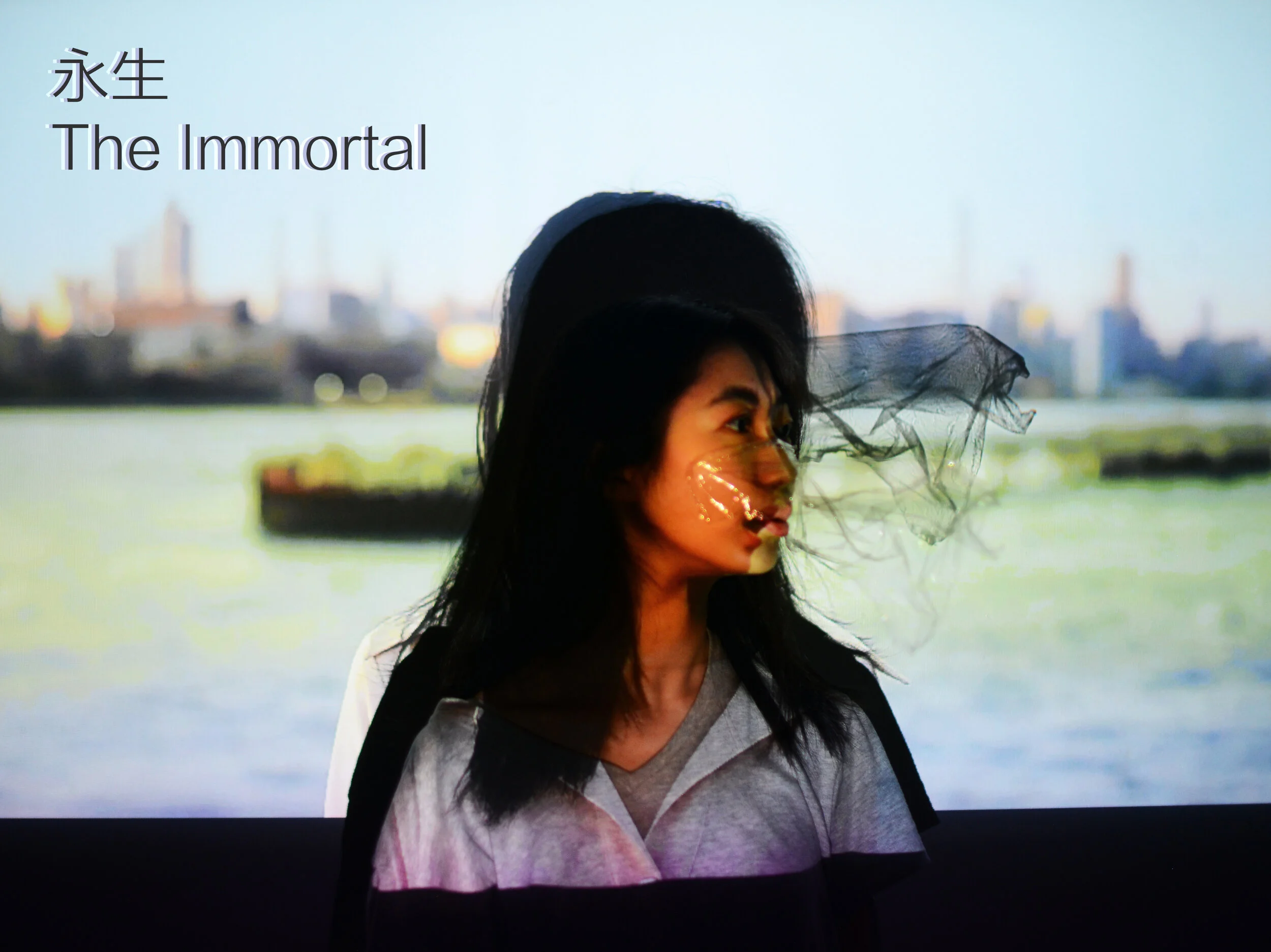 于博柔-永生The Immortal-海报.jpg