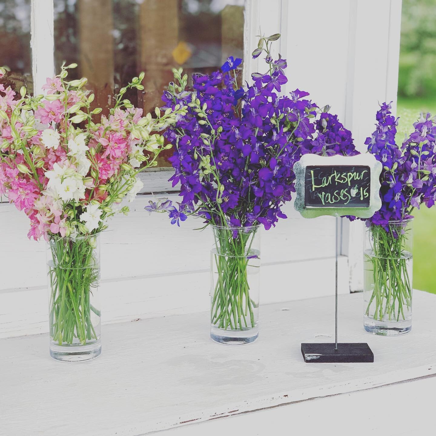 The flower coop at the farm on Route 2 is open! Wednesday - Saturday, 10-dusk or until sold out. Larkspur vases, Jars of Joy, and dried lavender bundles! 
.
.
.
.
.
#localflowersmakelifebetter #larkspur #flowerpower #organicfarm #lavender