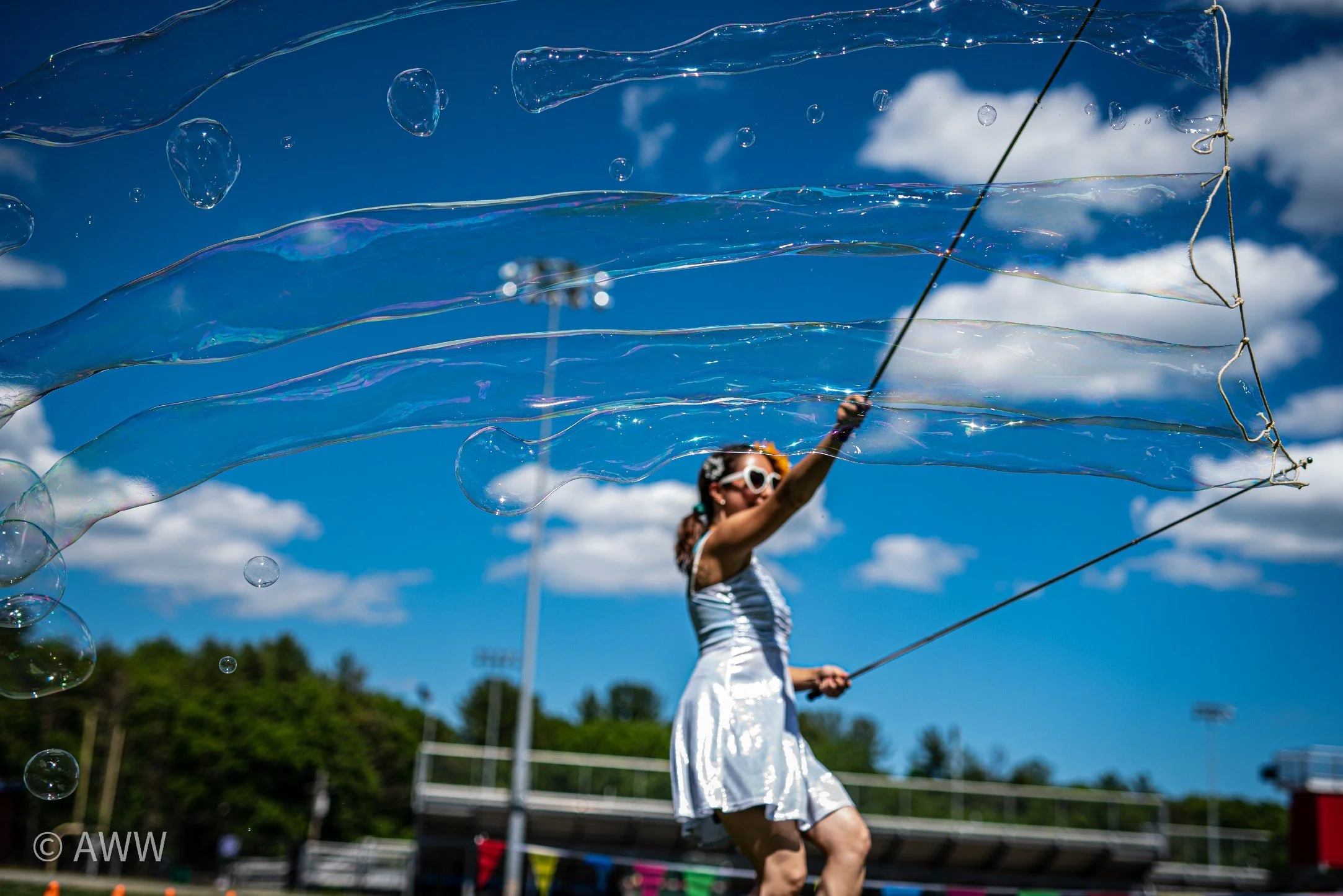 Bubble Garland TT.jpg